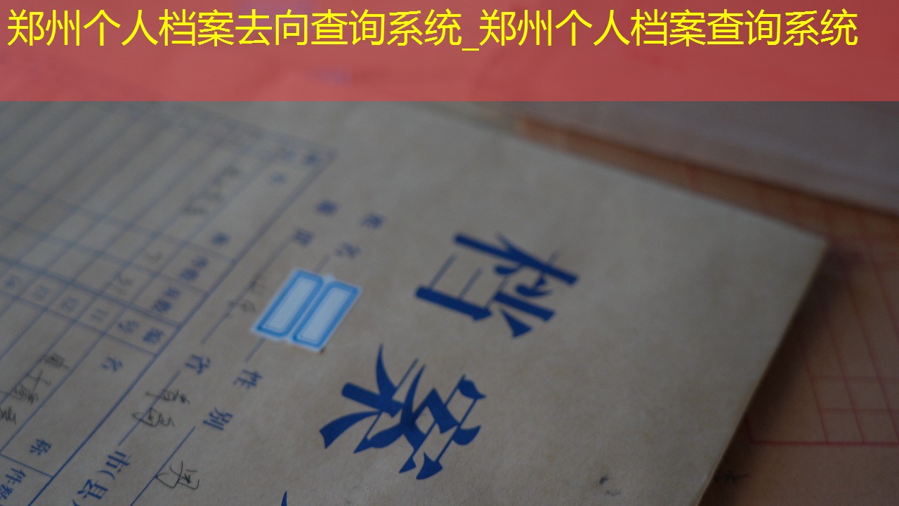 档案查询