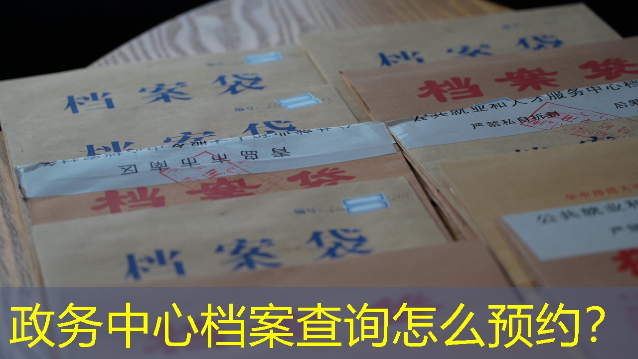 档案查询