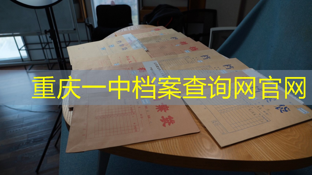 档案查询