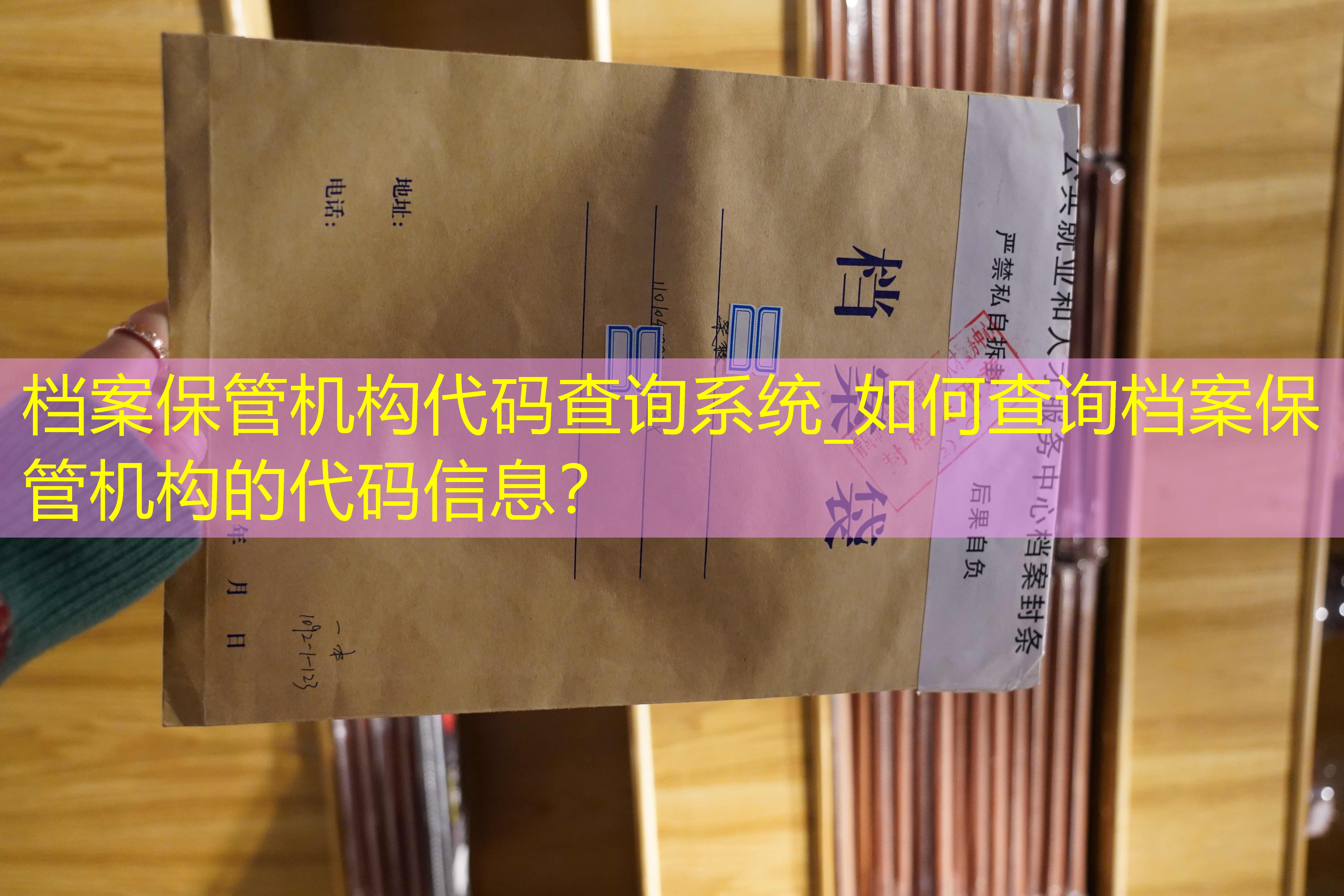 档案查询