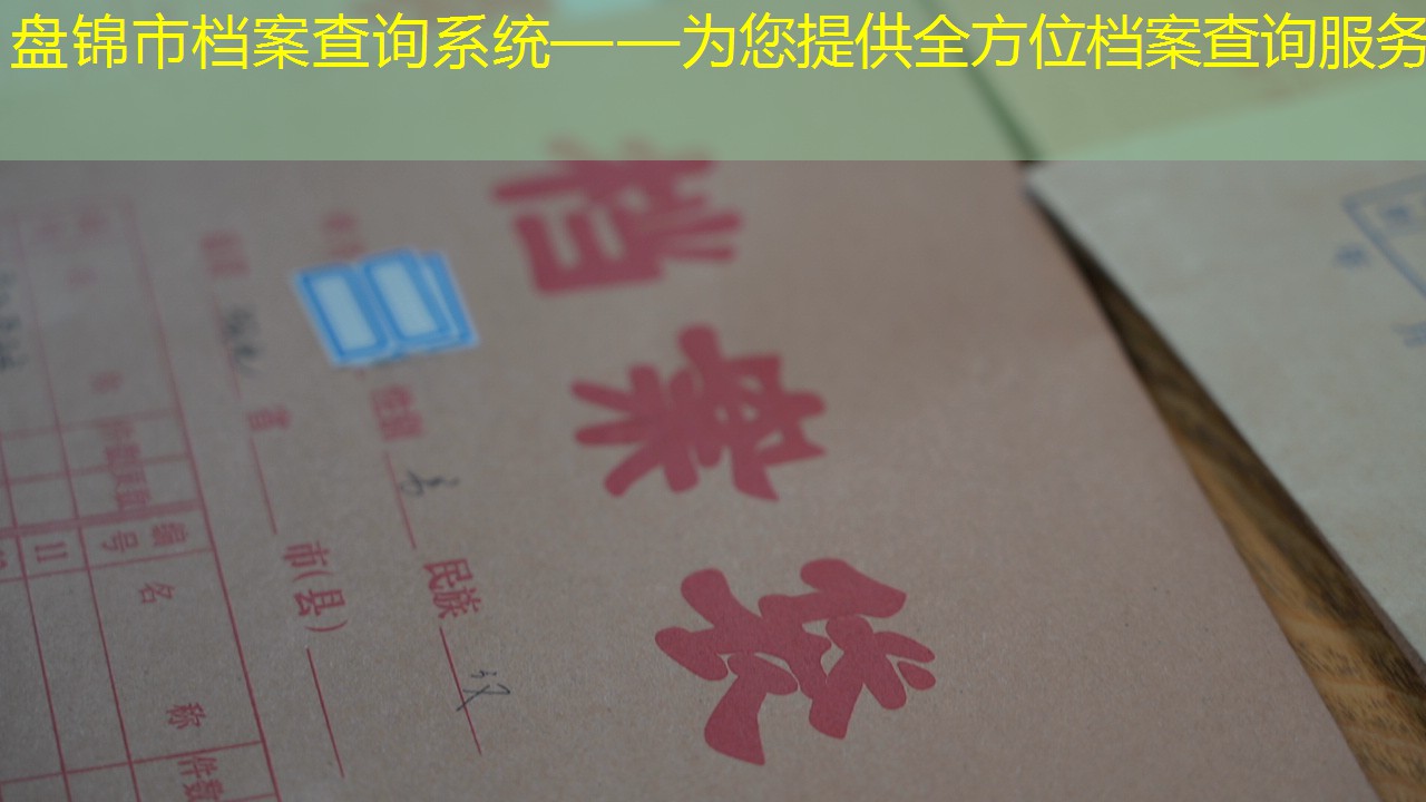 档案查询