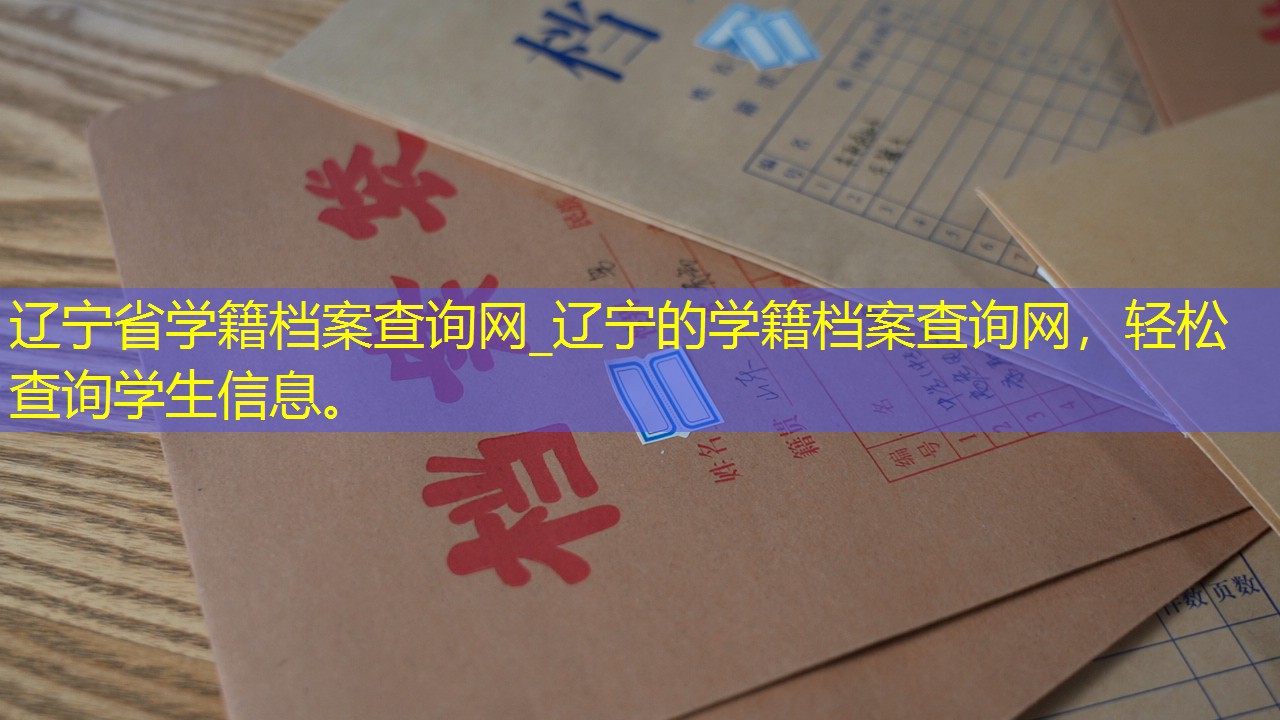 档案查询