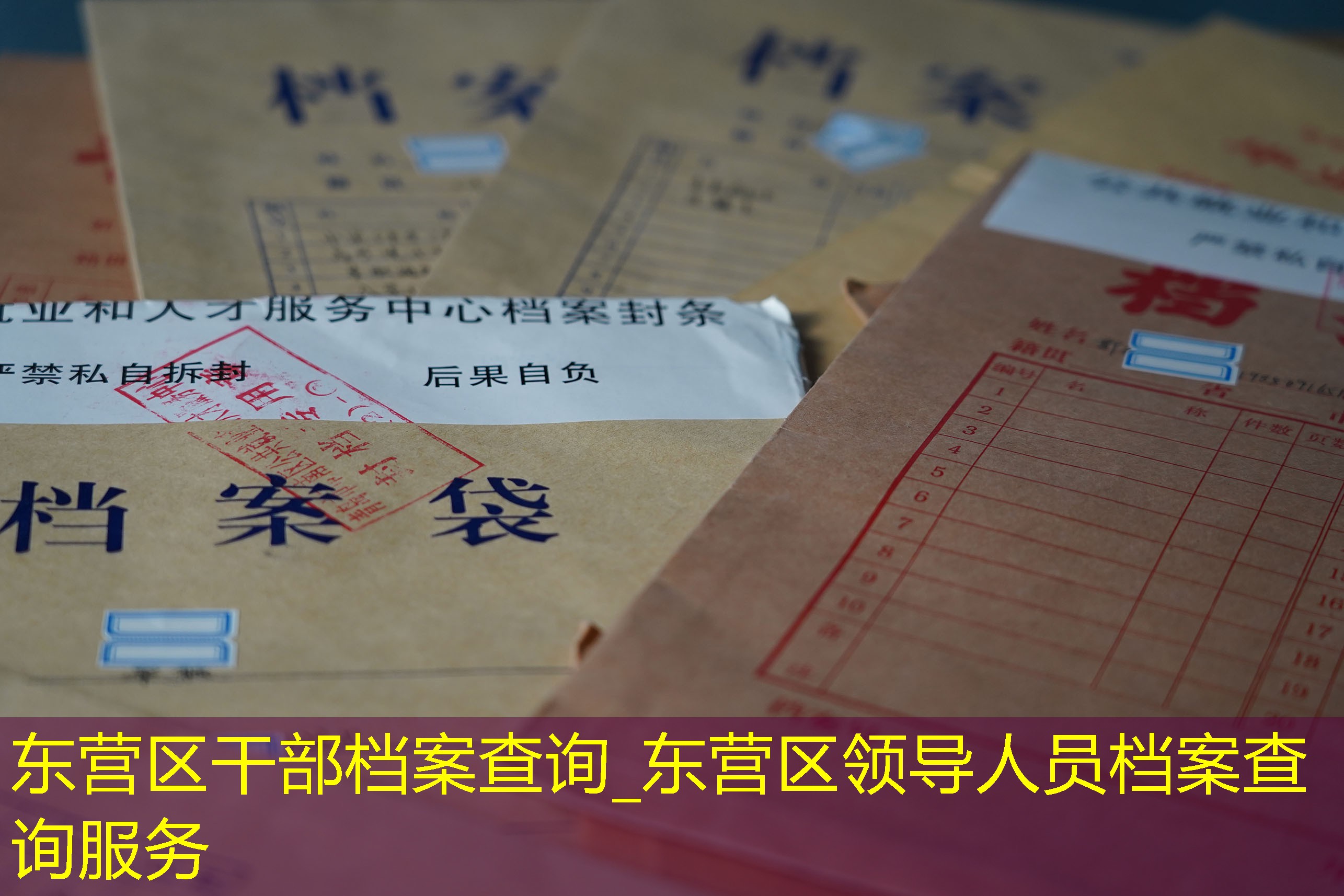 档案查询