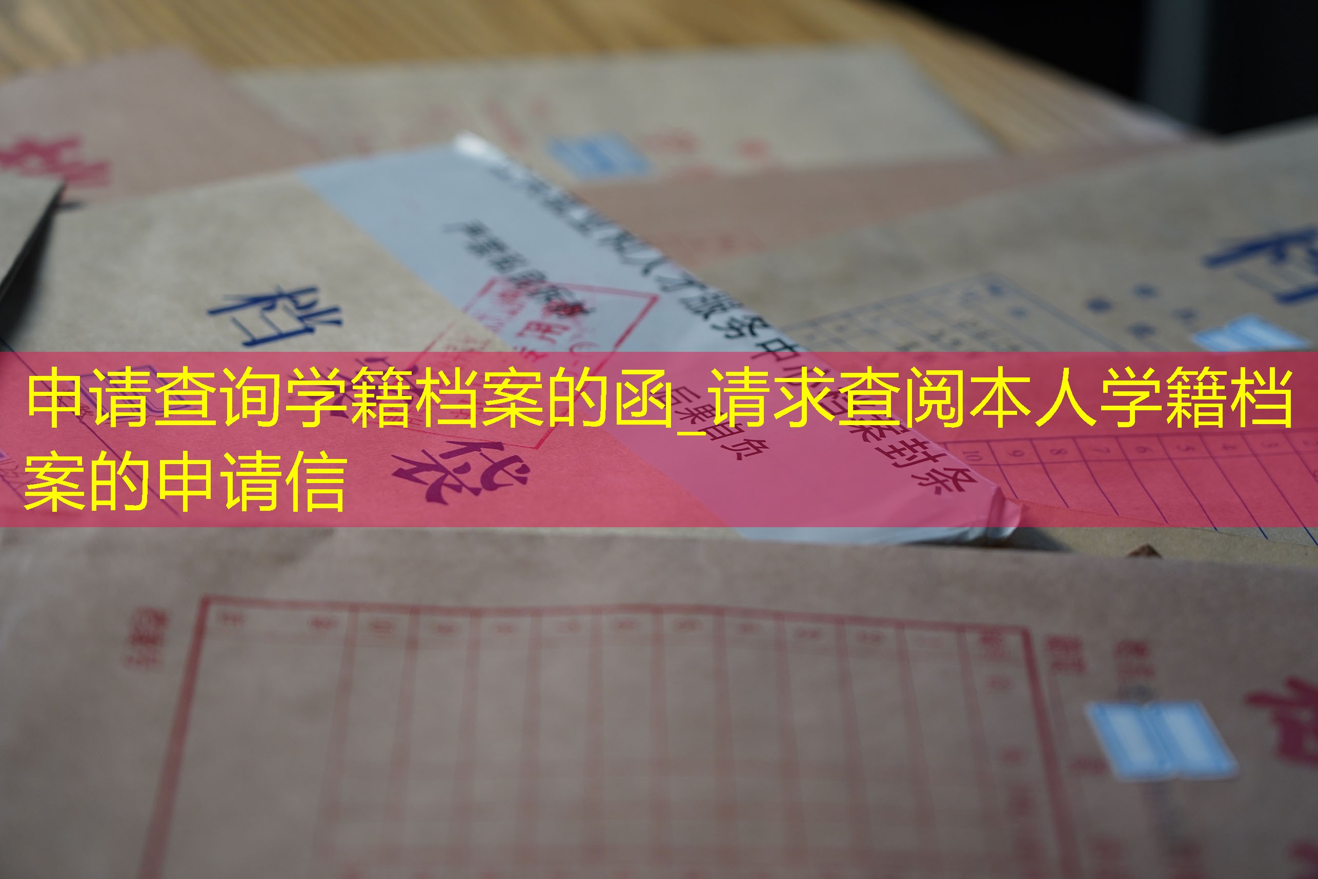 档案查询