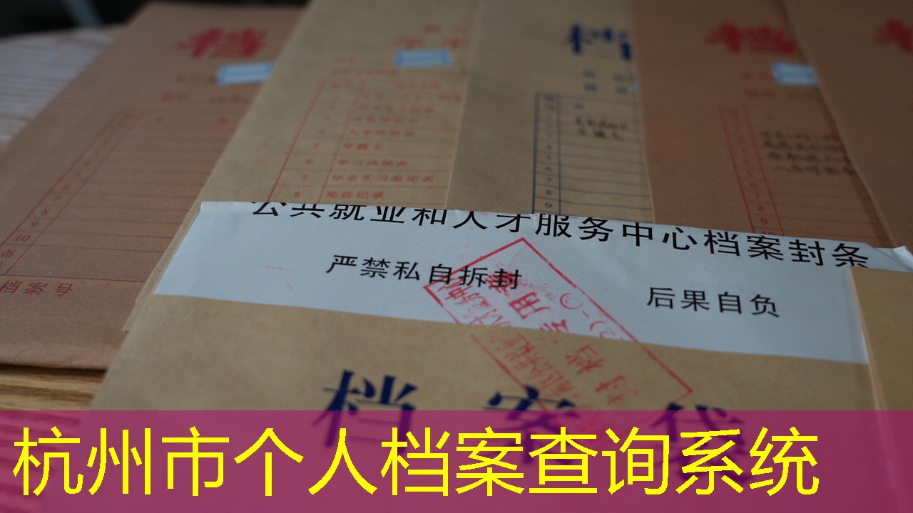 档案查询