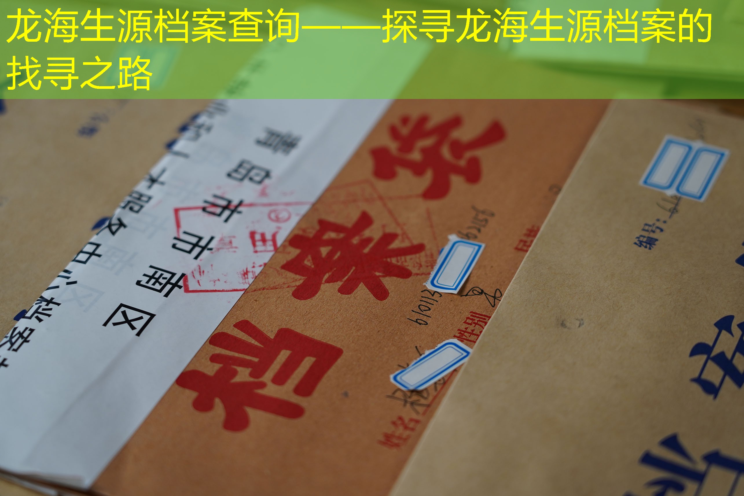 档案查询