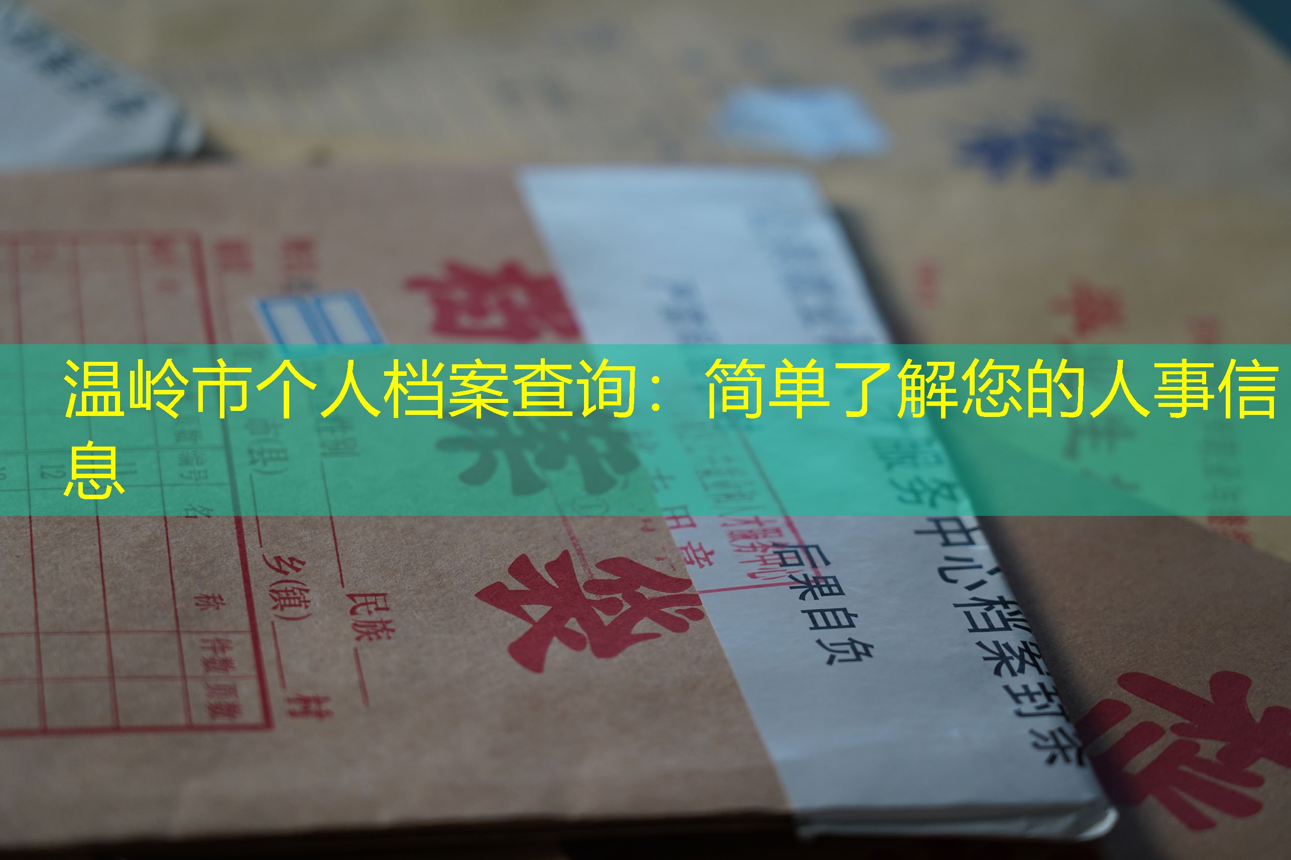 档案查询
