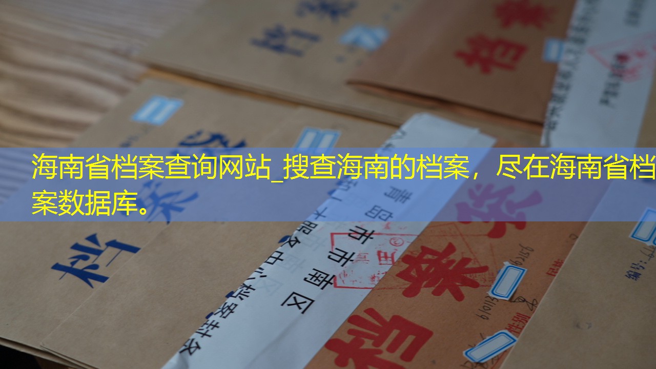 档案查询
