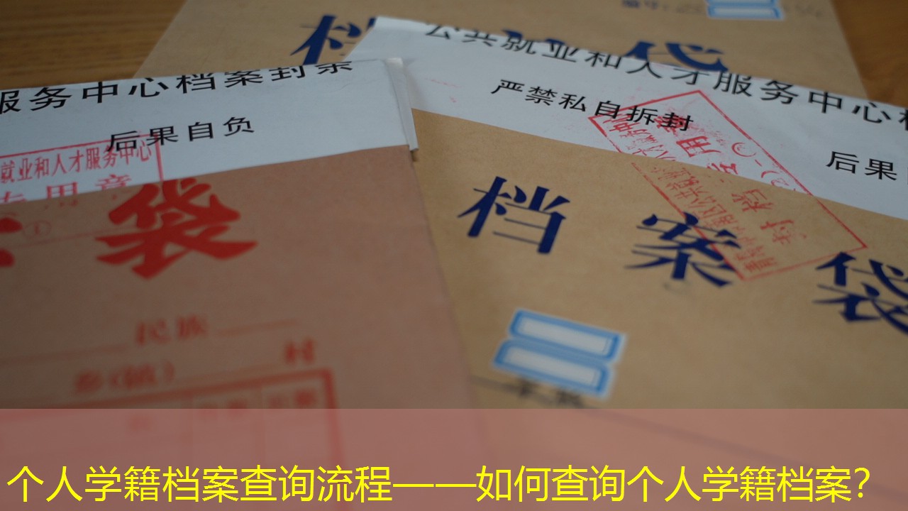 档案查询