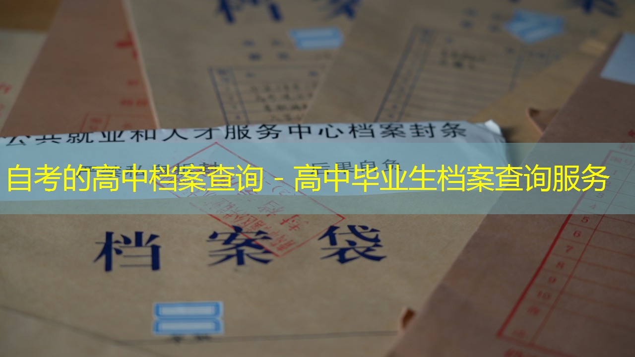 档案查询