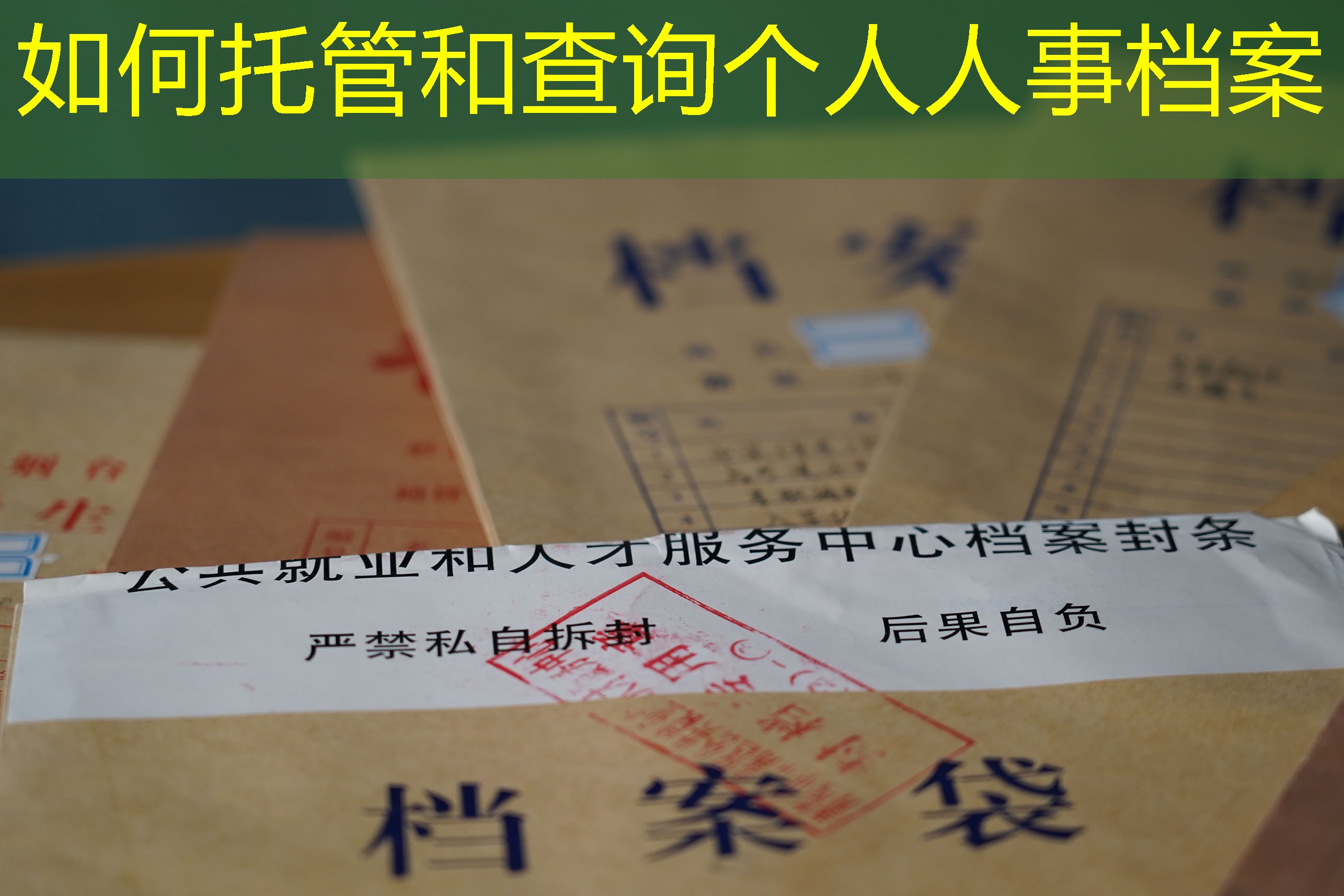 档案查询