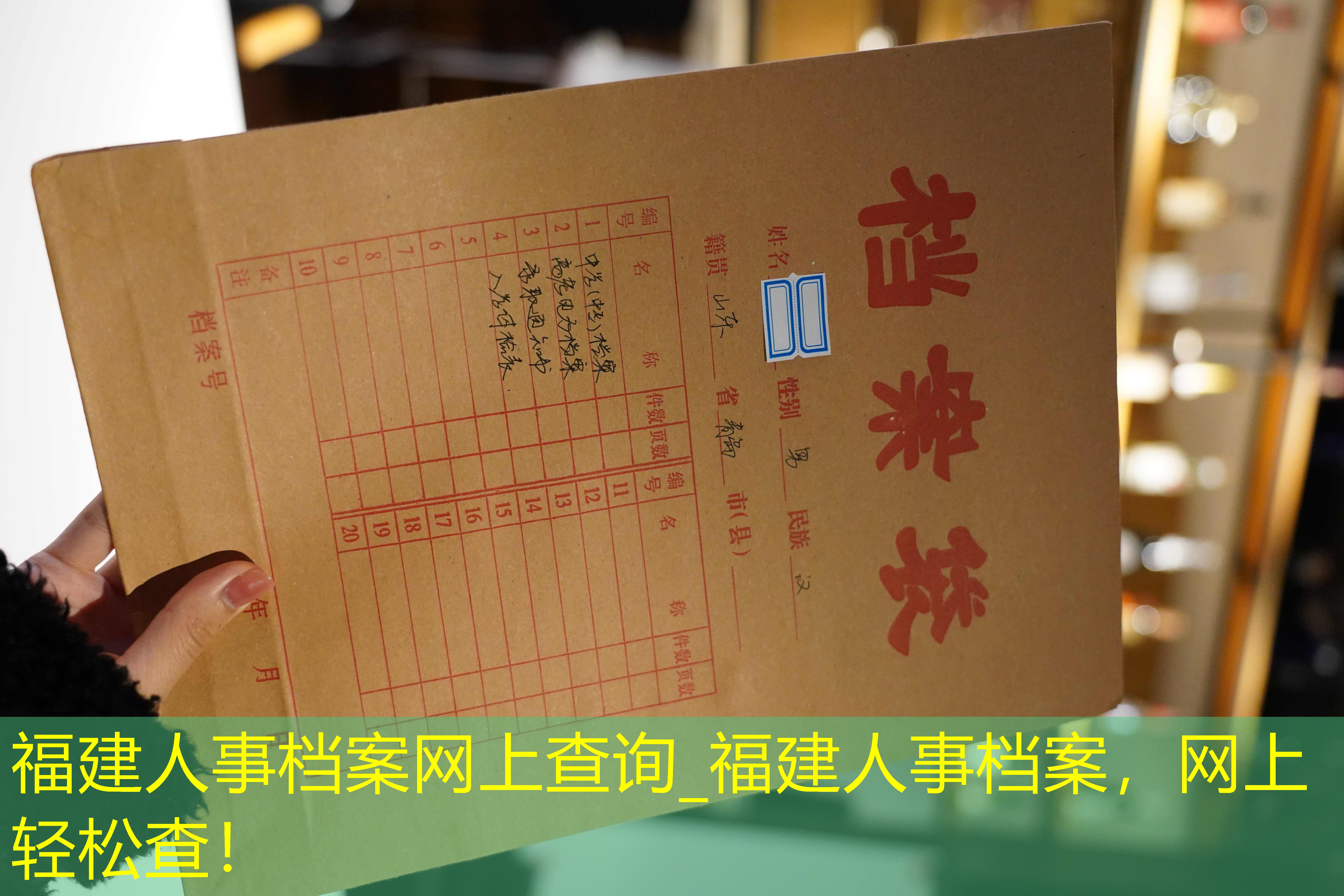 档案查询