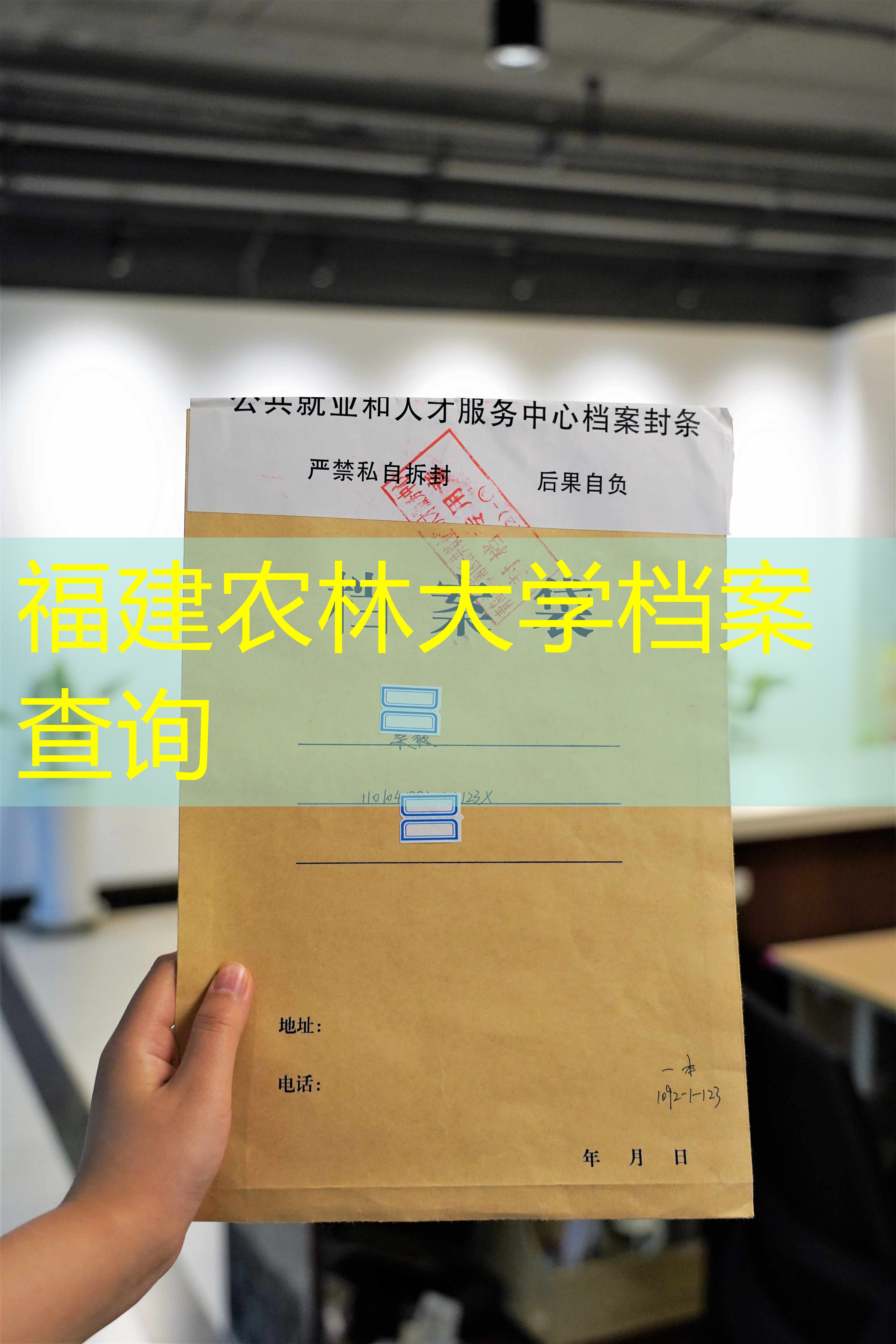 档案查询