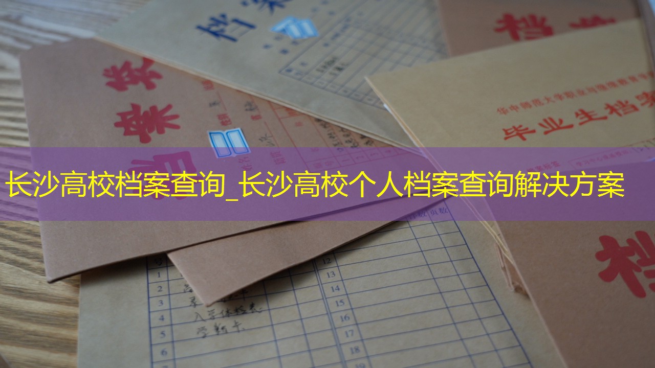 档案查询