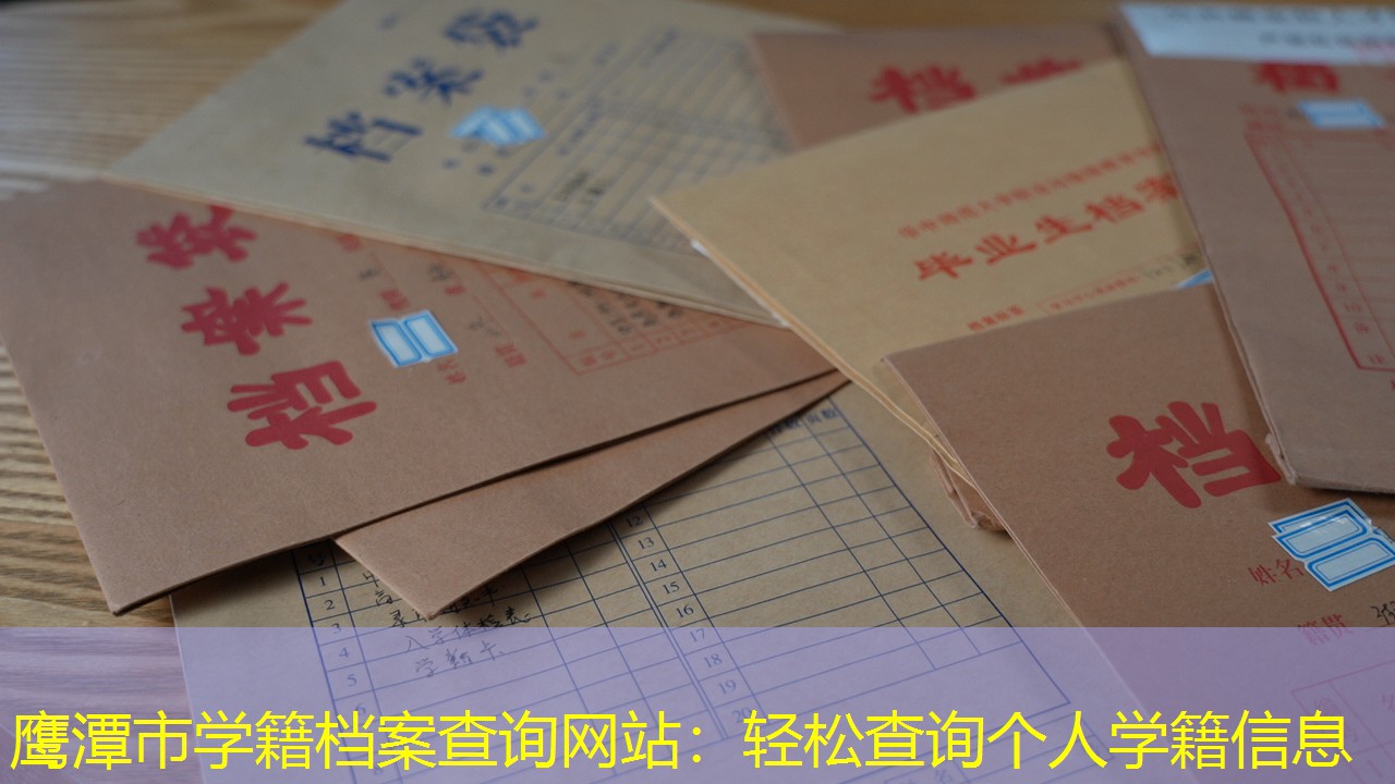 档案查询