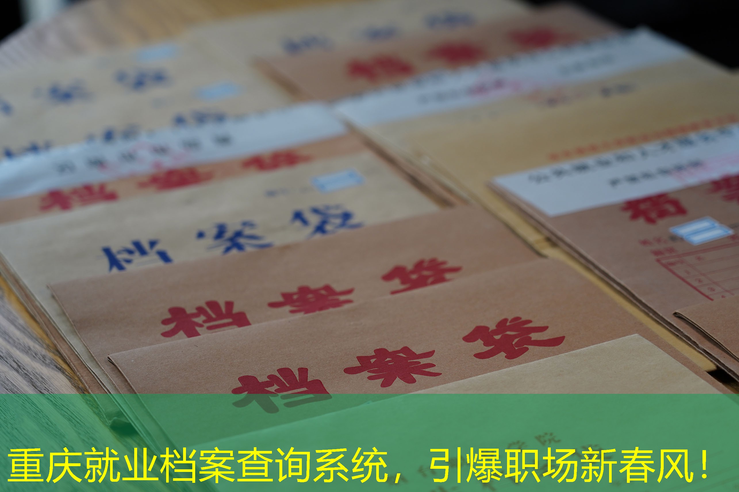 档案查询