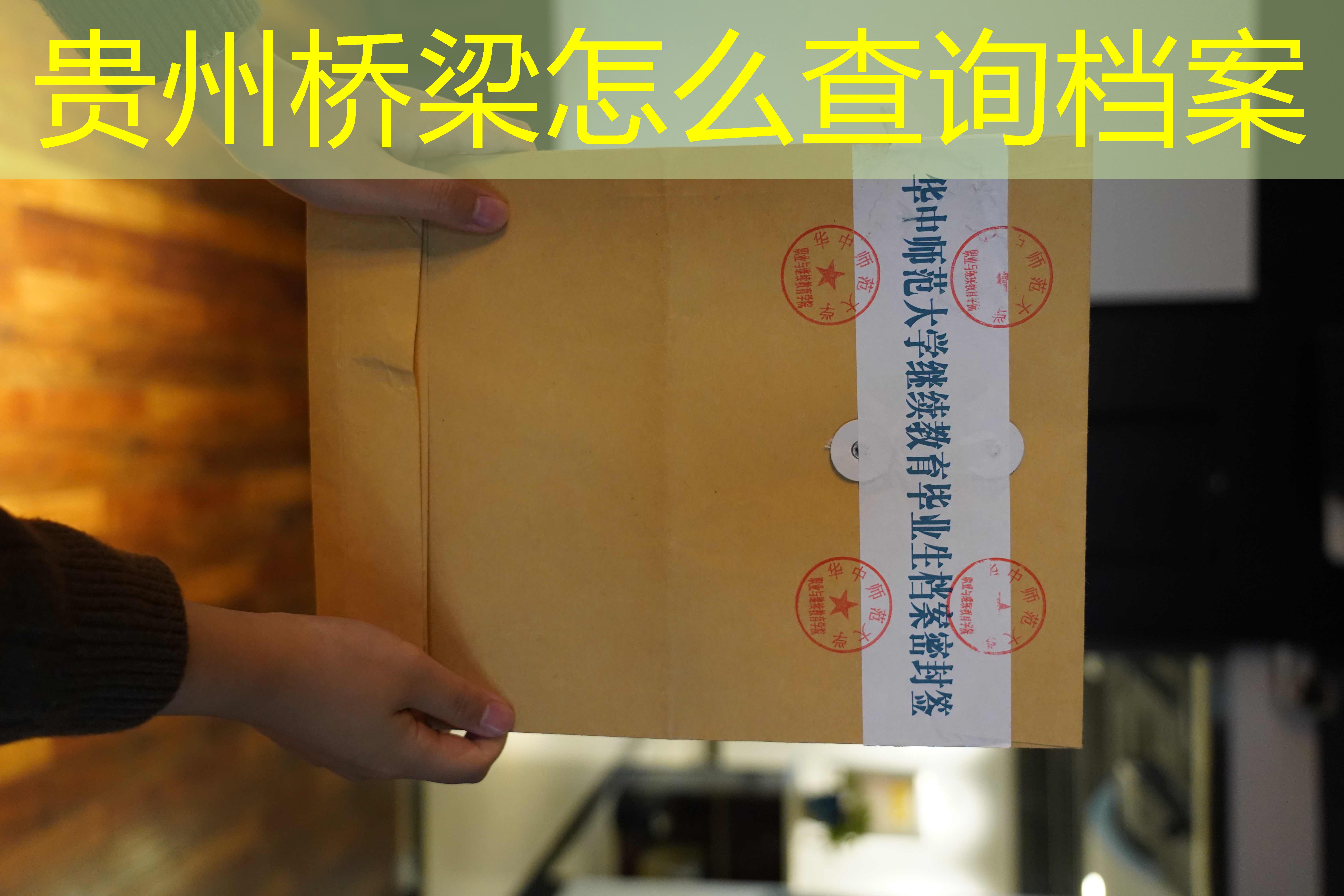 档案查询