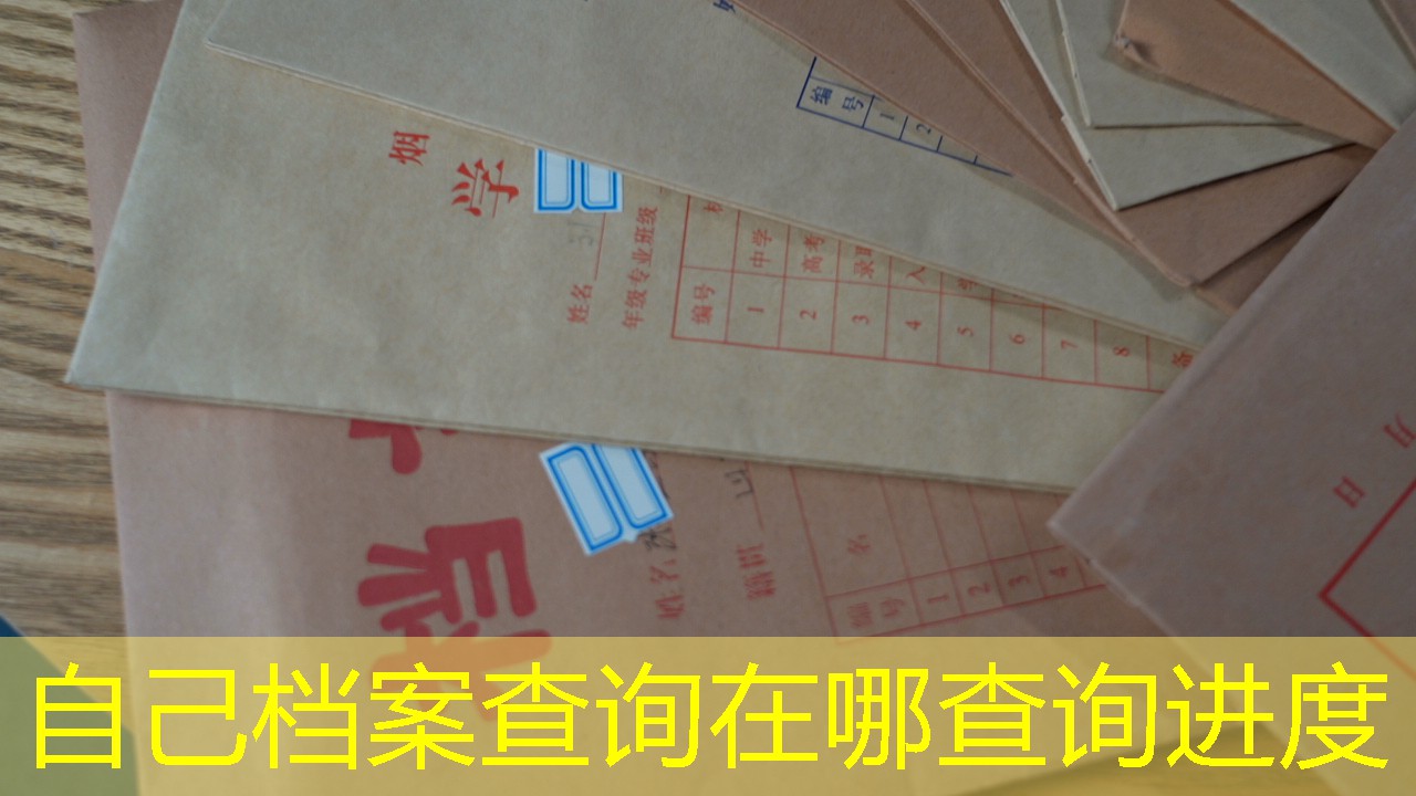 档案查询