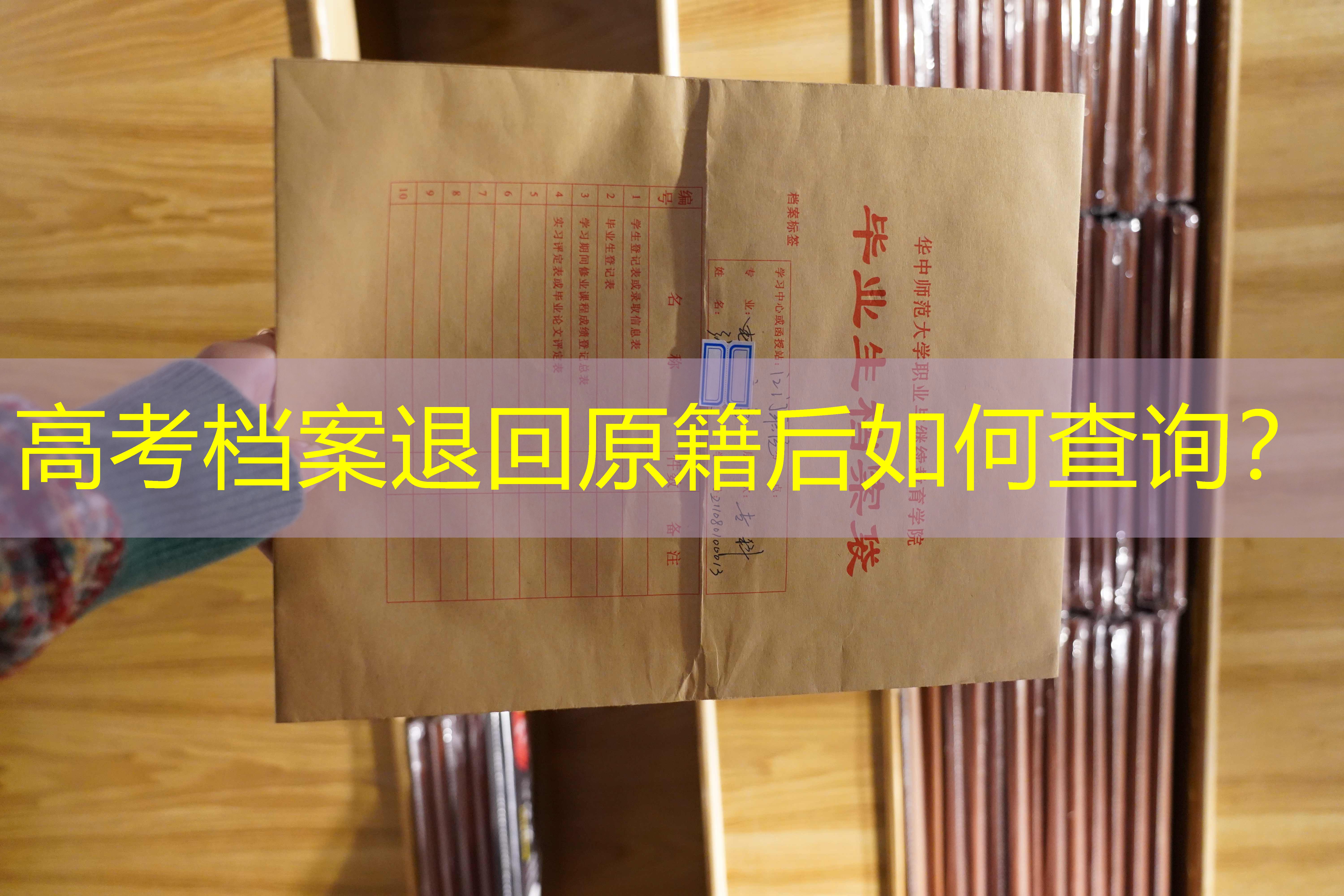 档案查询