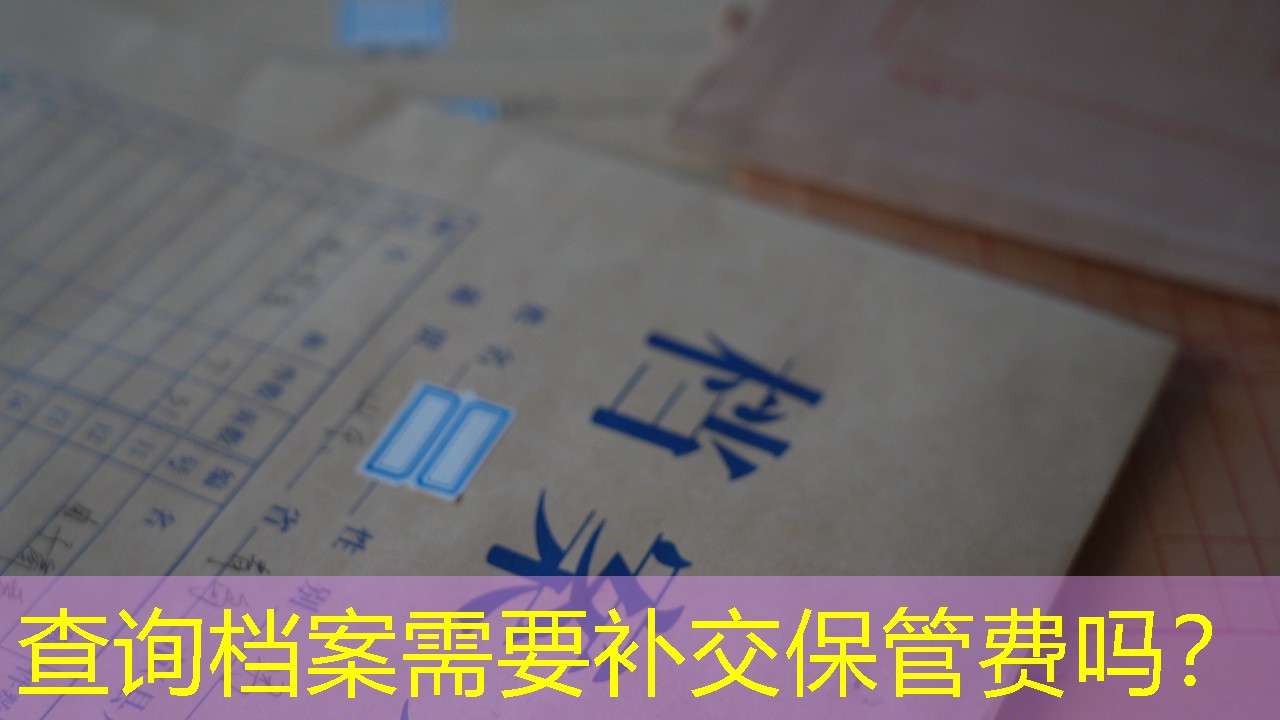档案查询