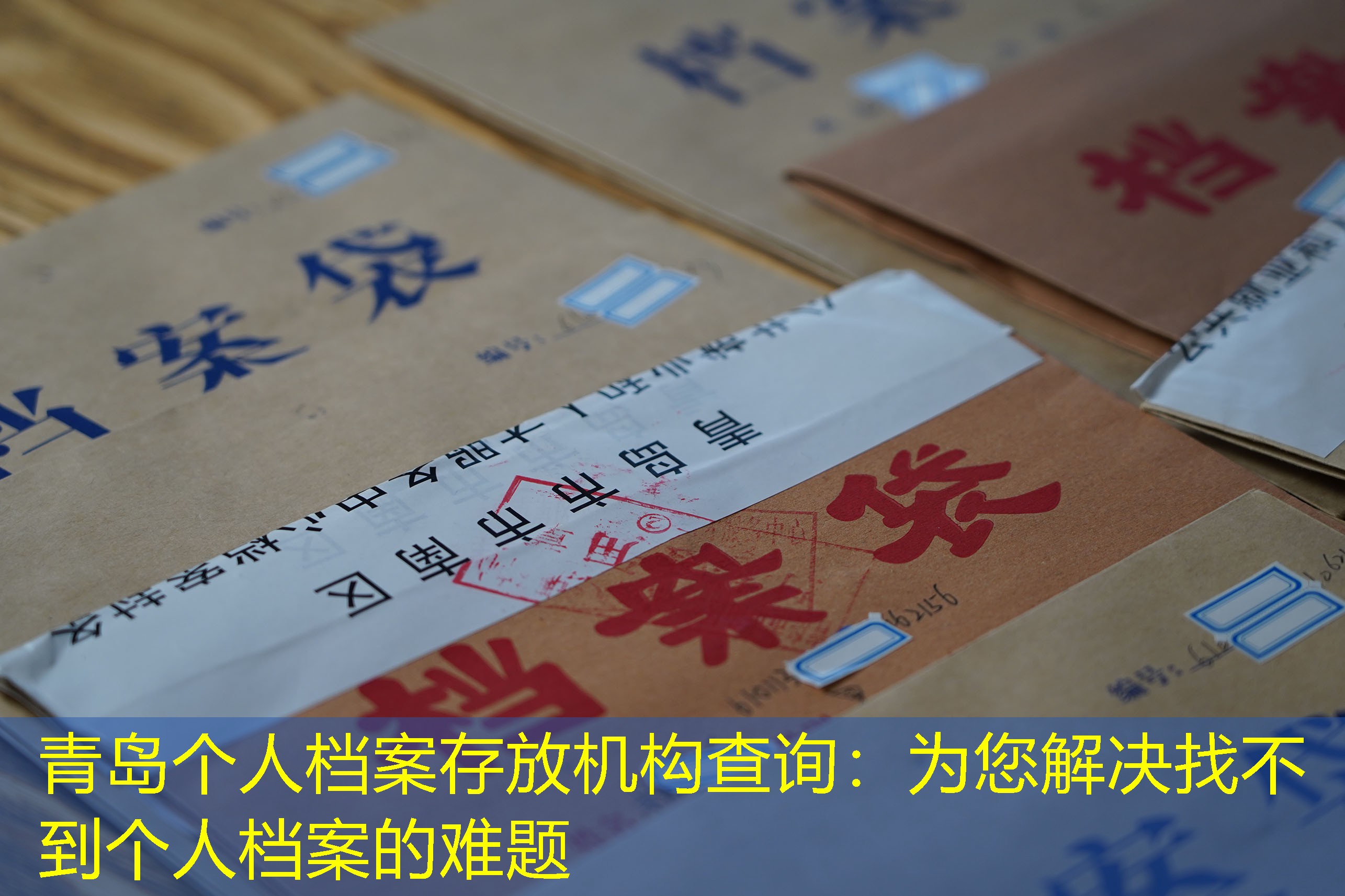 档案查询