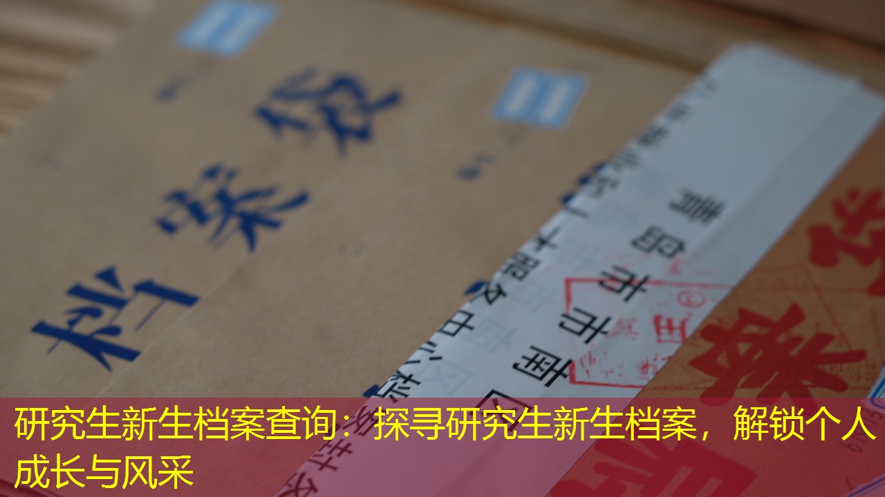 档案查询