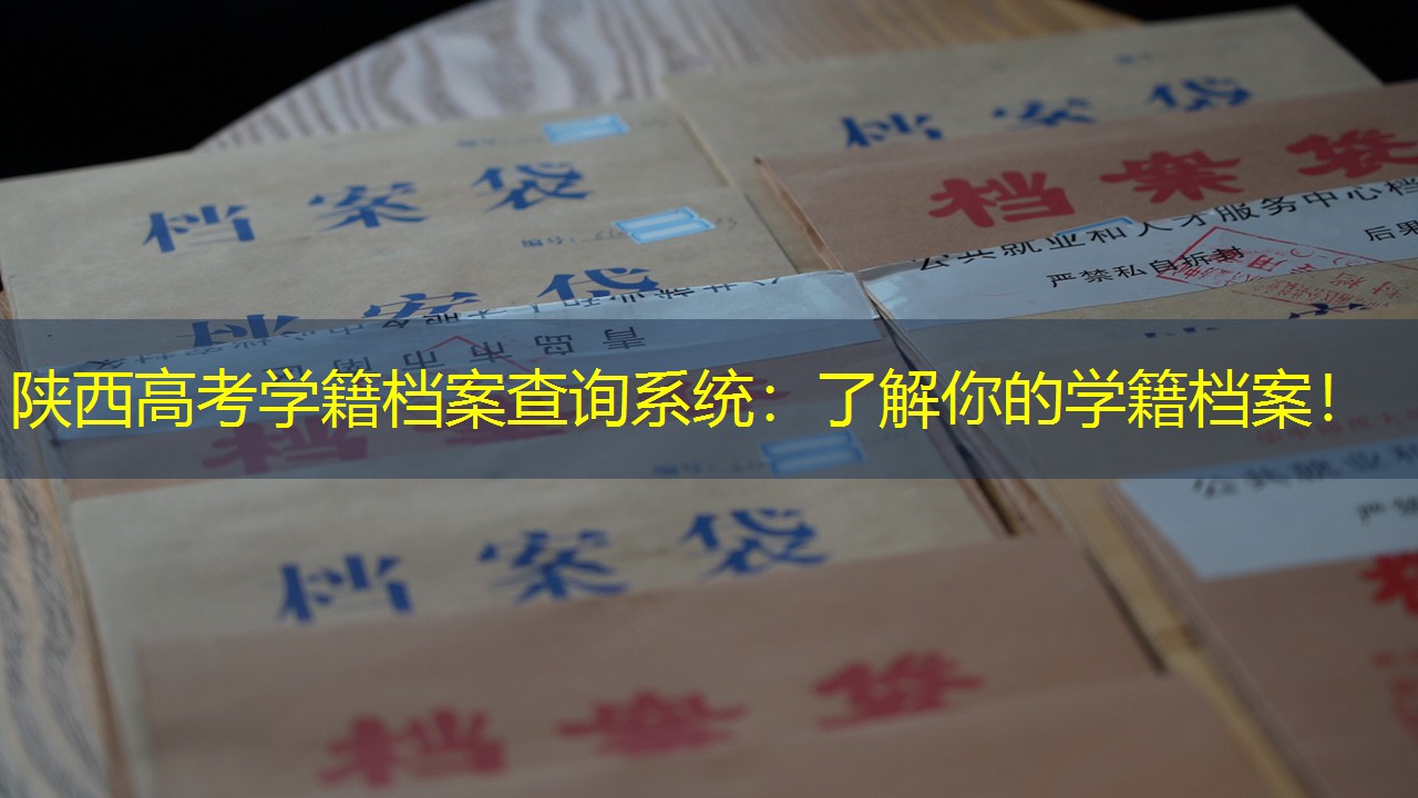 档案查询