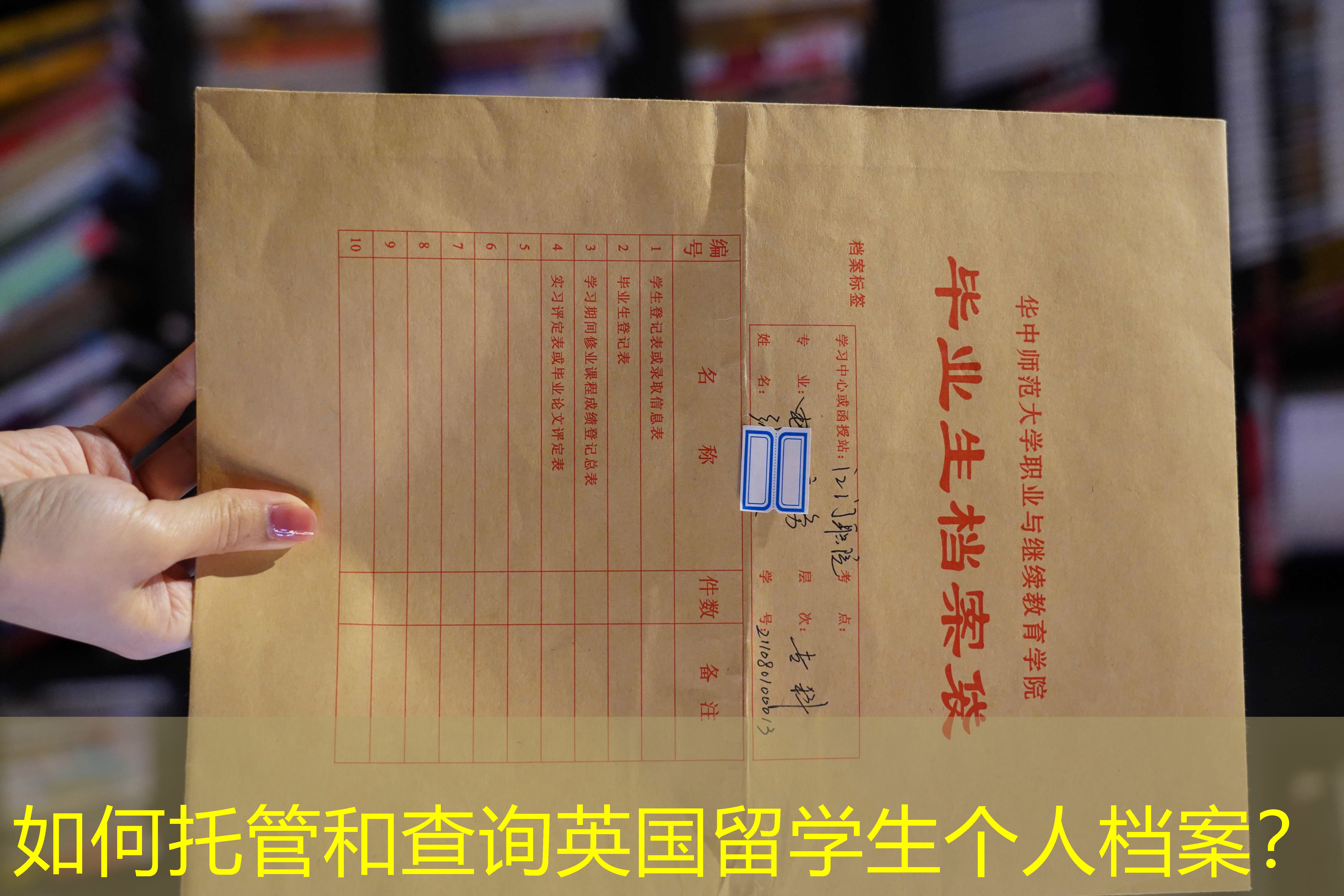 档案查询