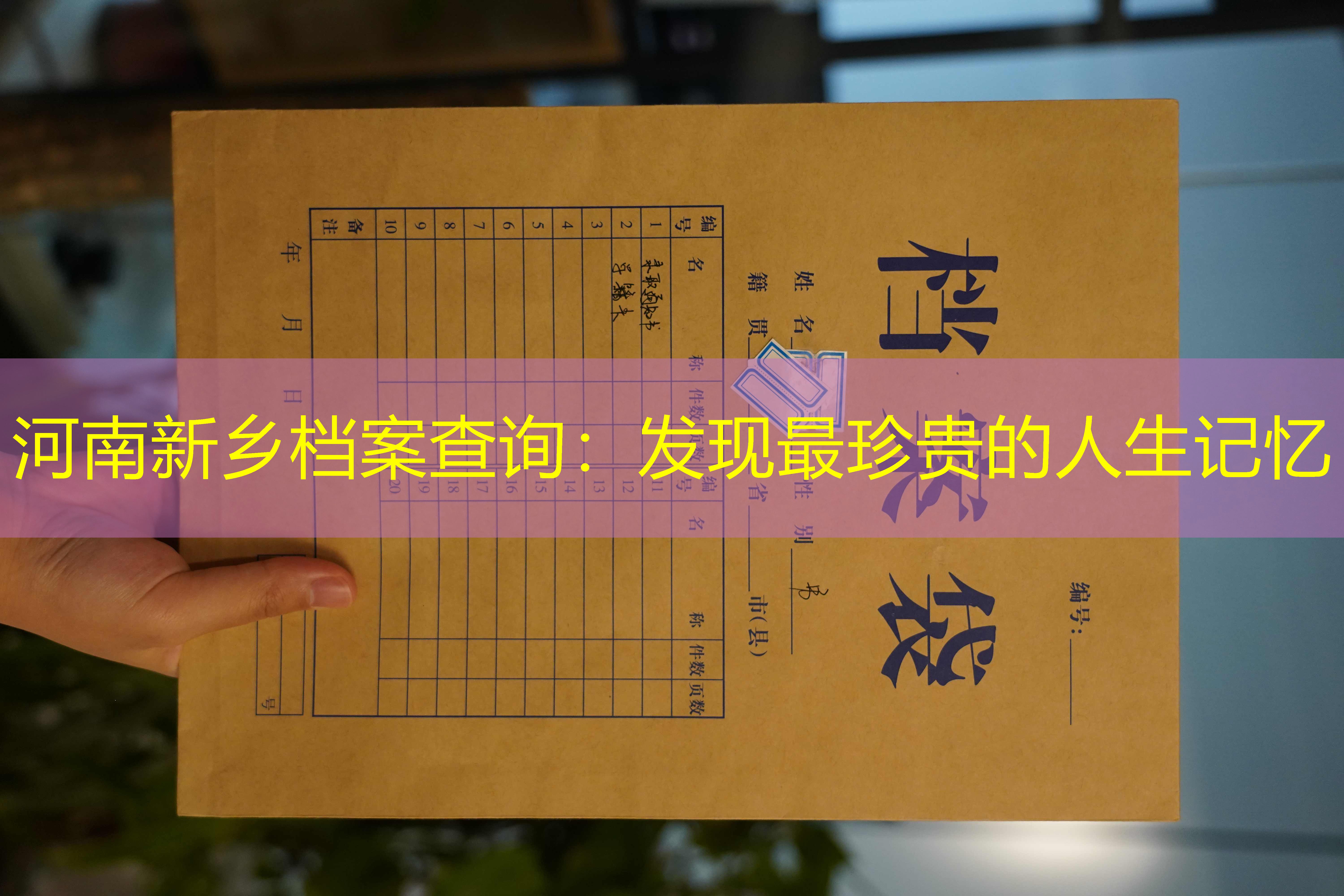 档案查询