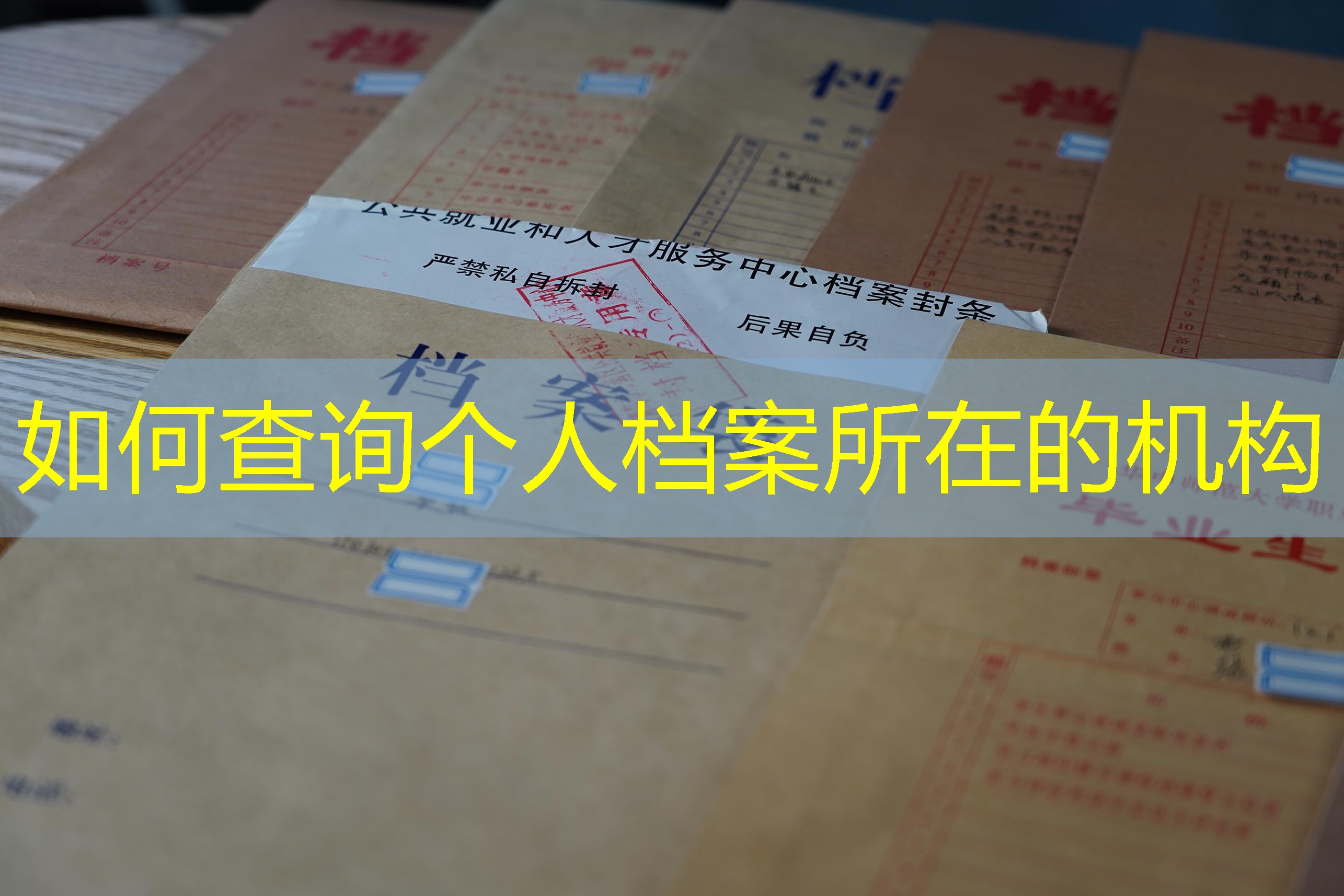 档案查询
