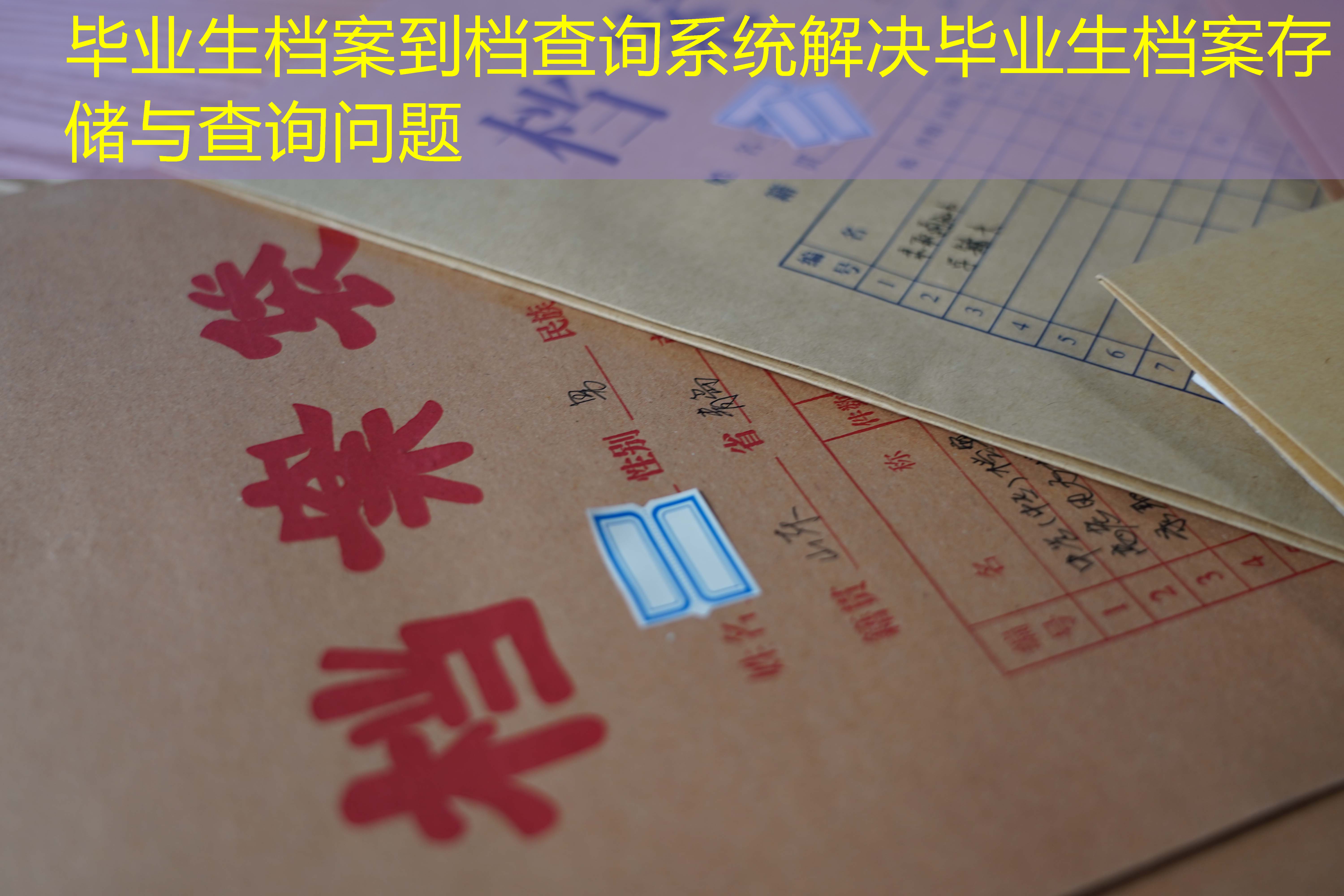 档案查询