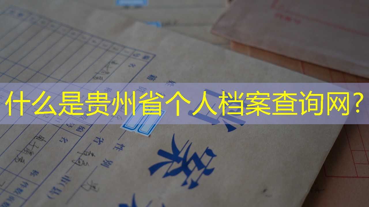 档案查询