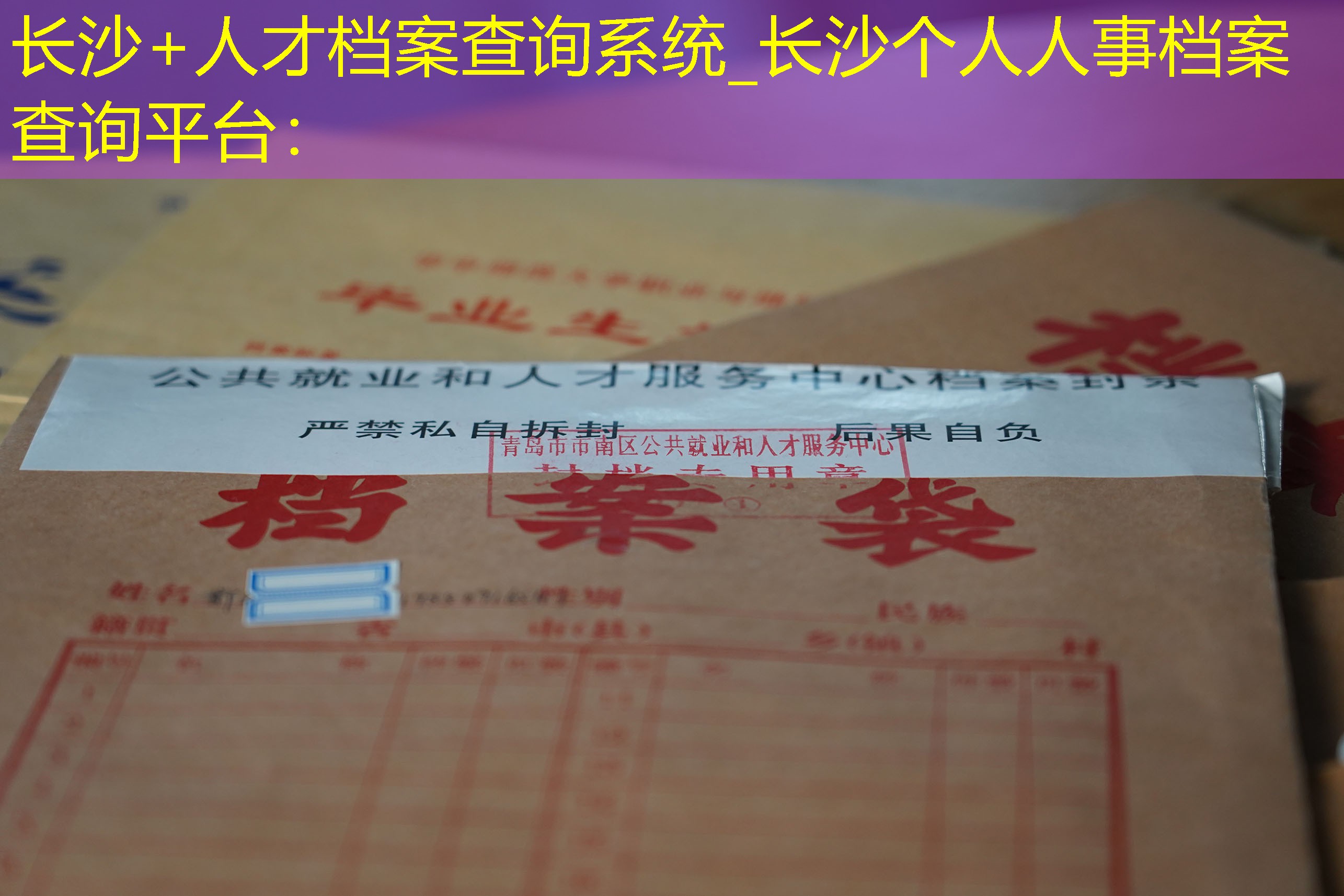 档案查询