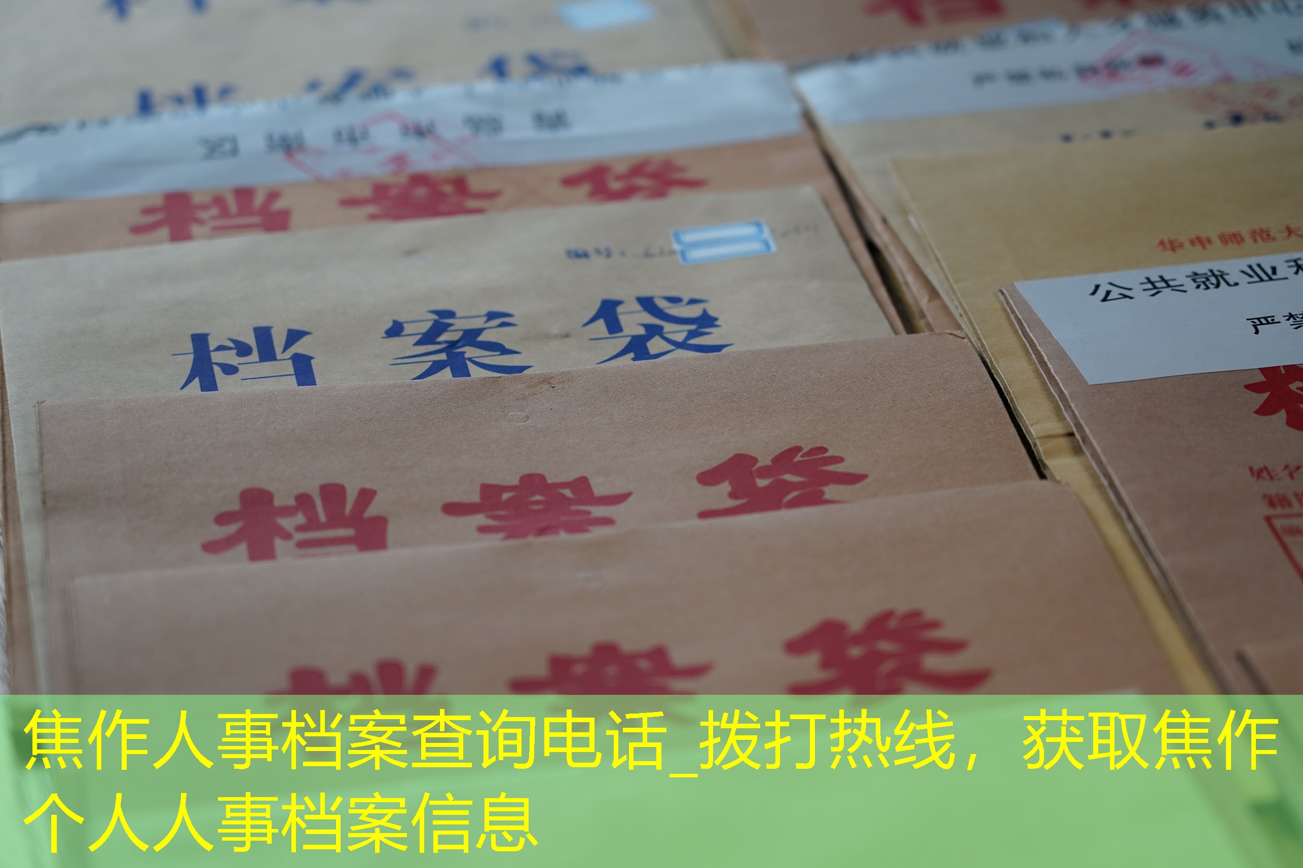 档案查询