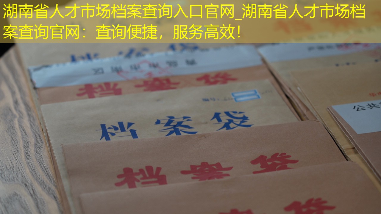 档案查询