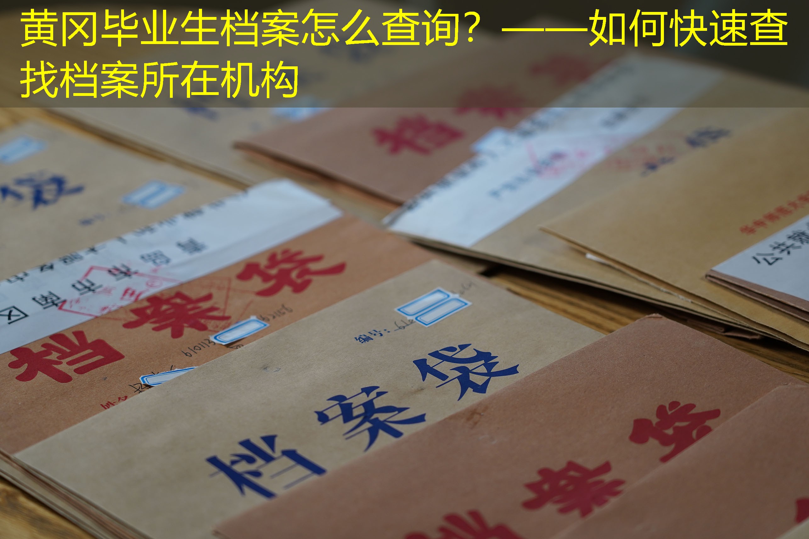 档案查询