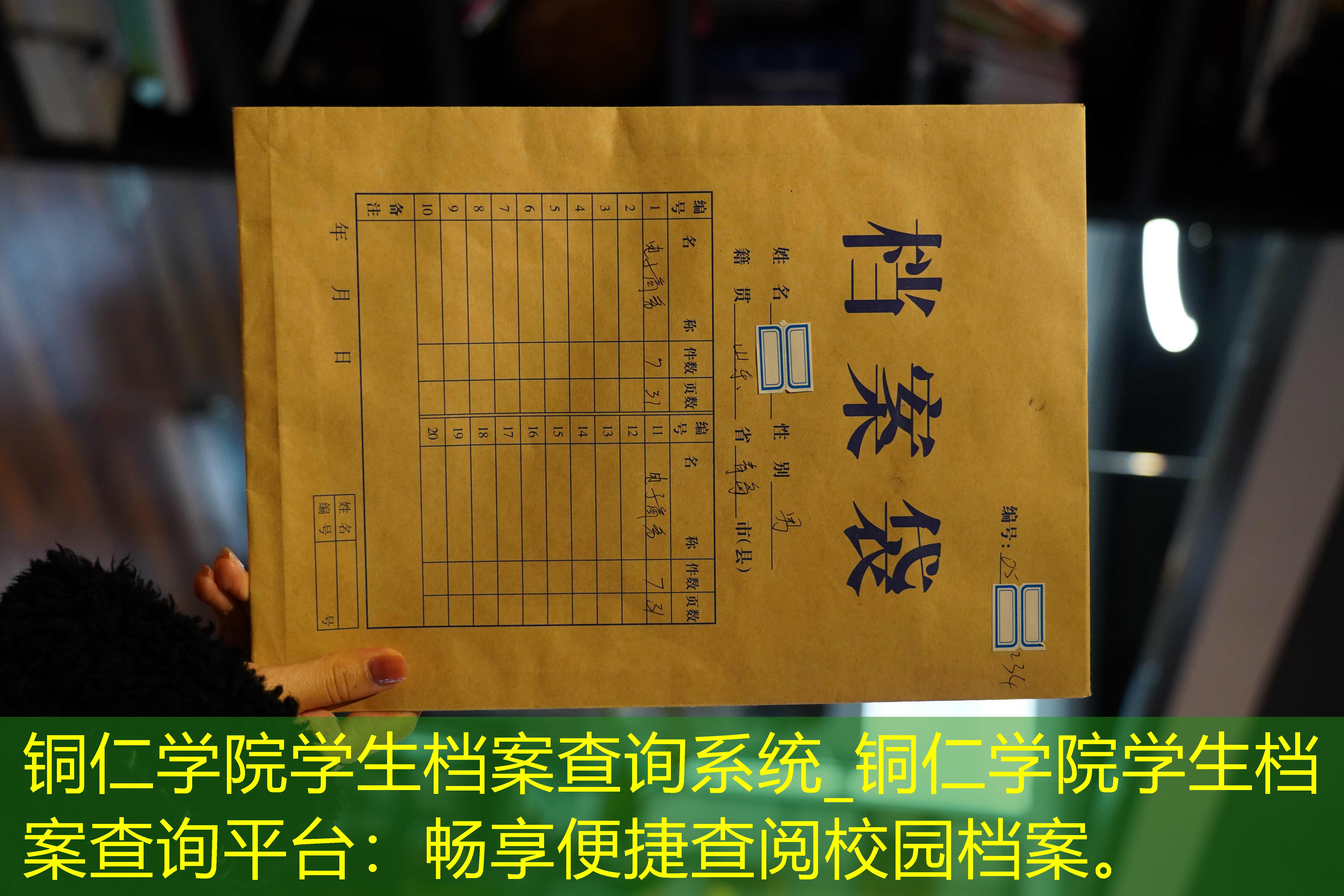 档案查询
