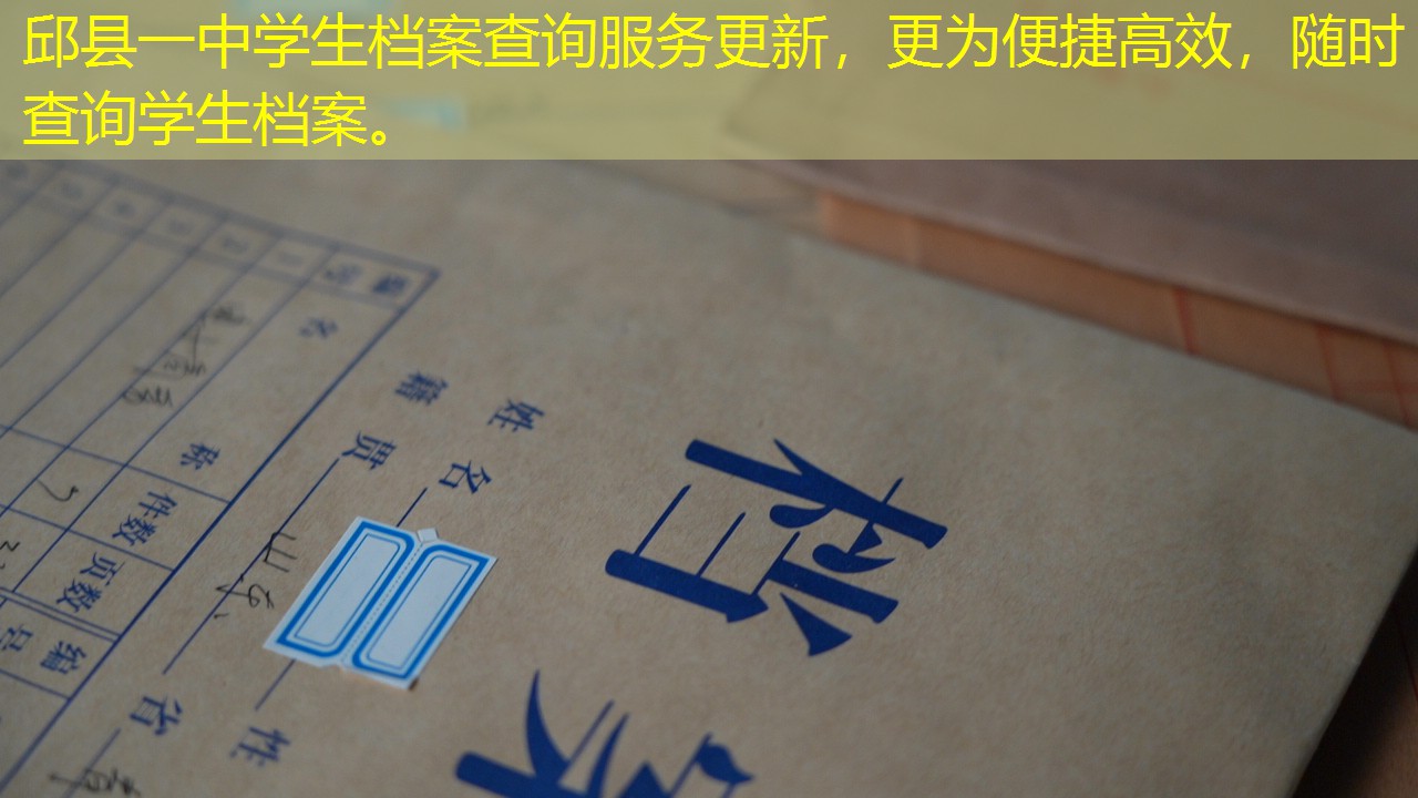 档案查询
