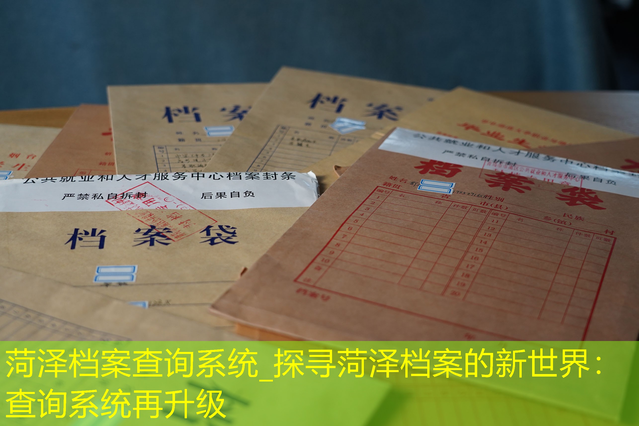 档案查询