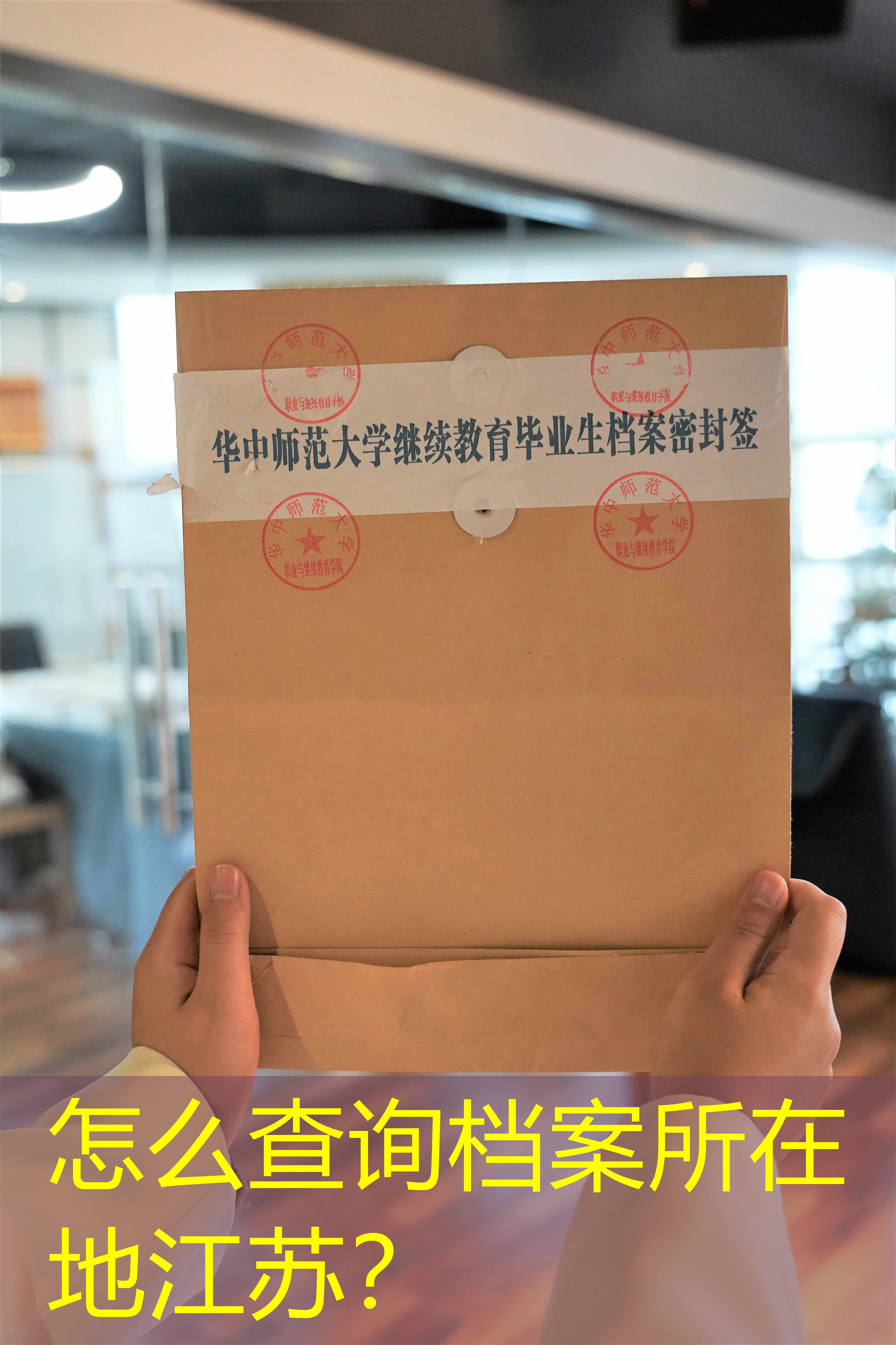 档案查询