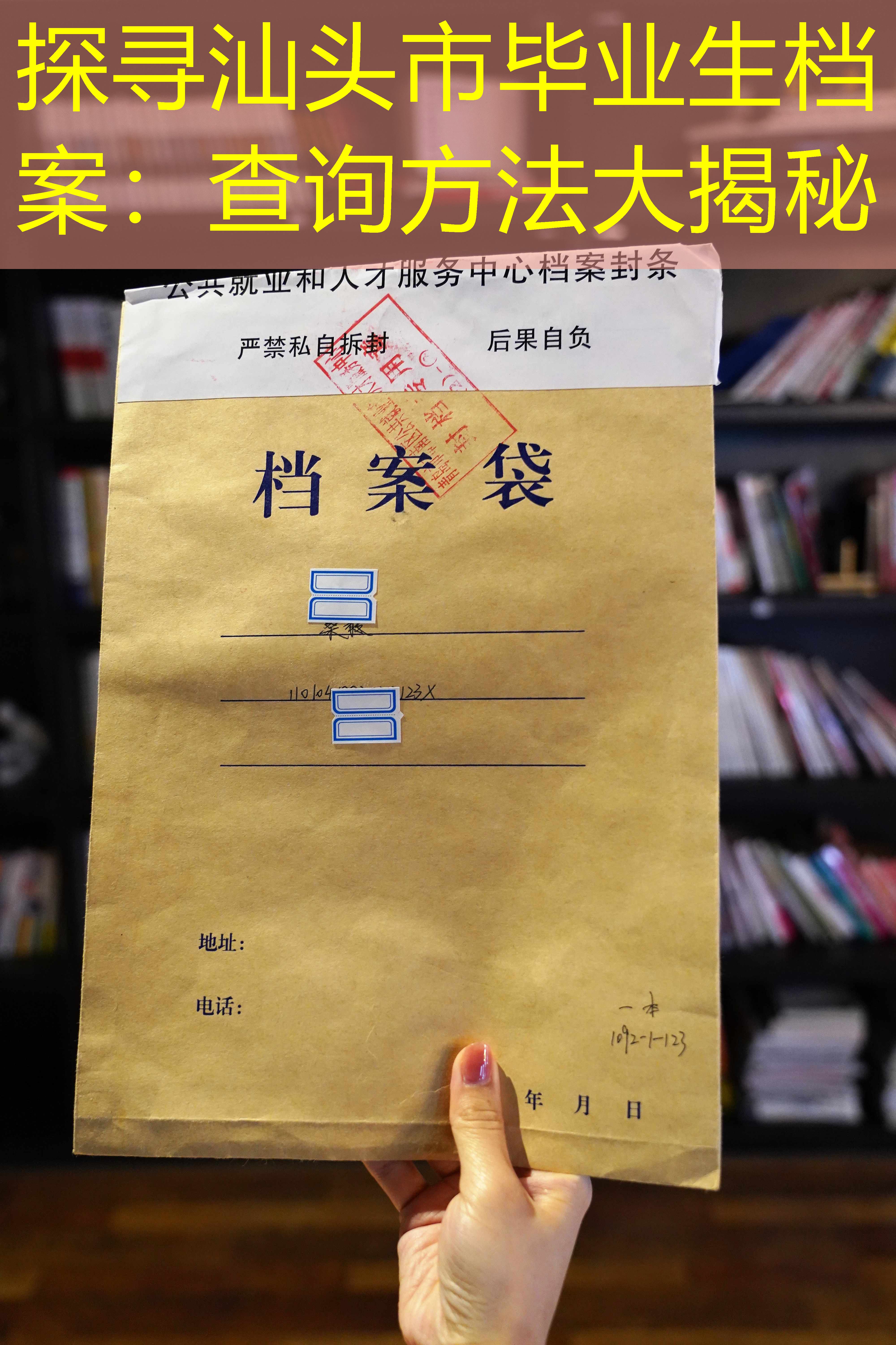 档案查询