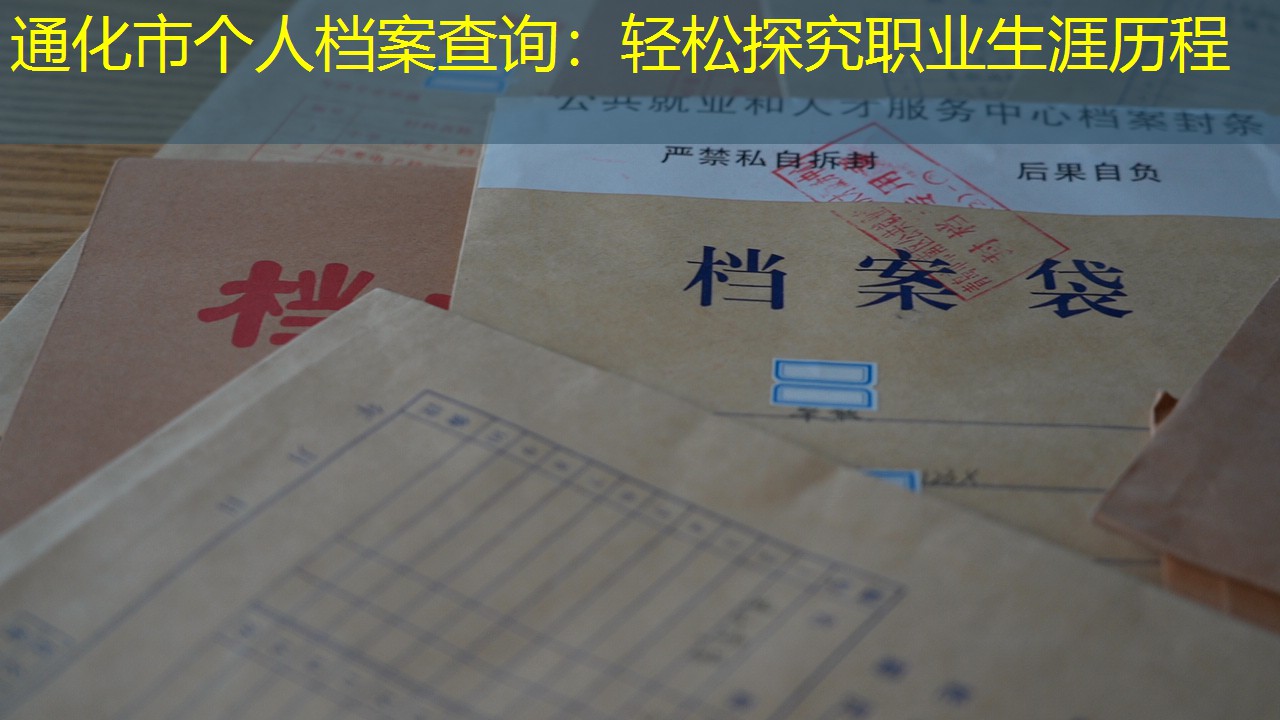 档案查询