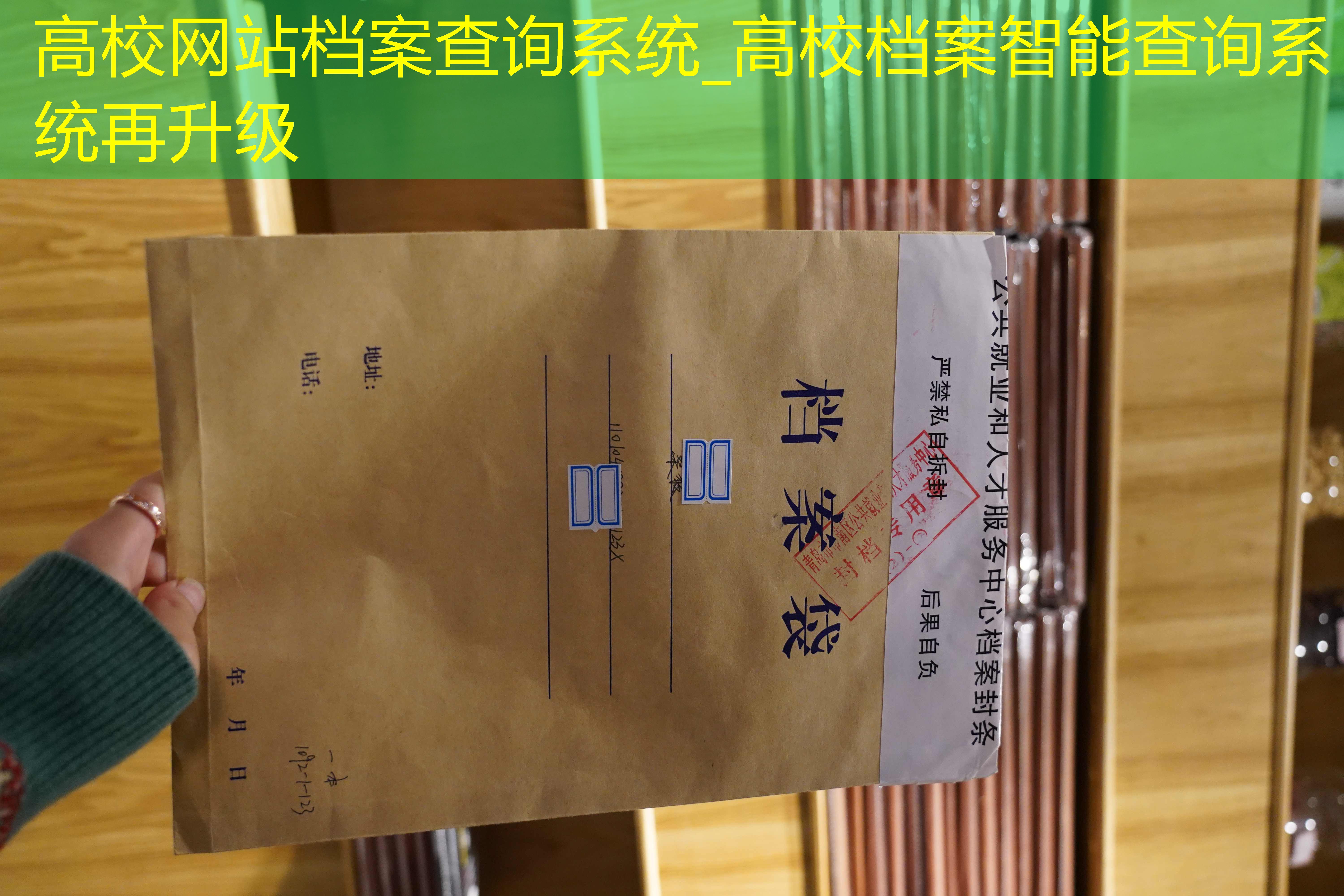 档案查询