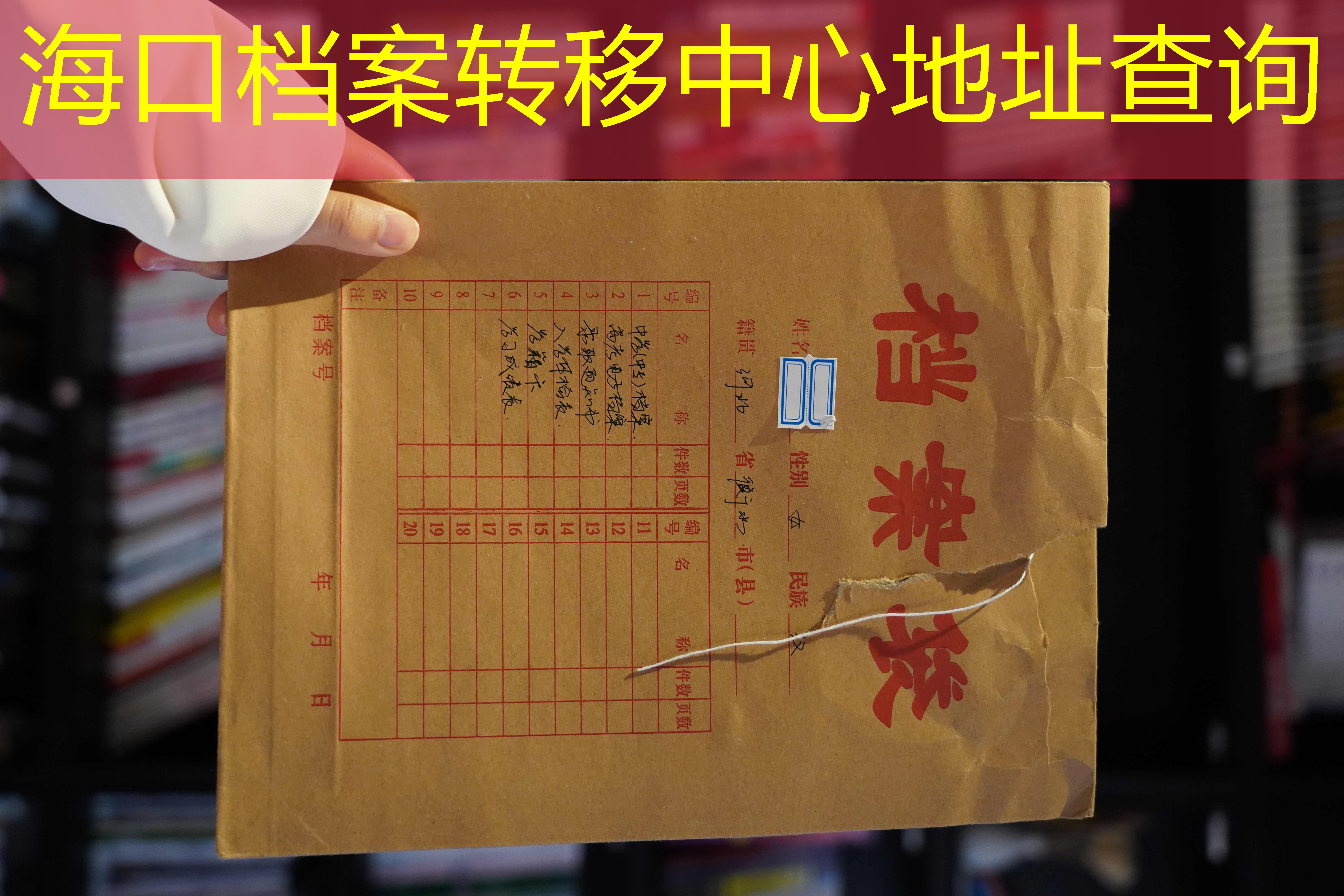 档案查询