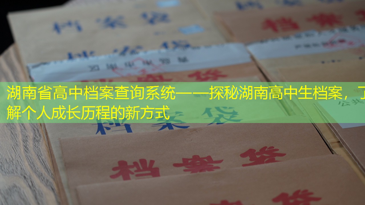 档案查询
