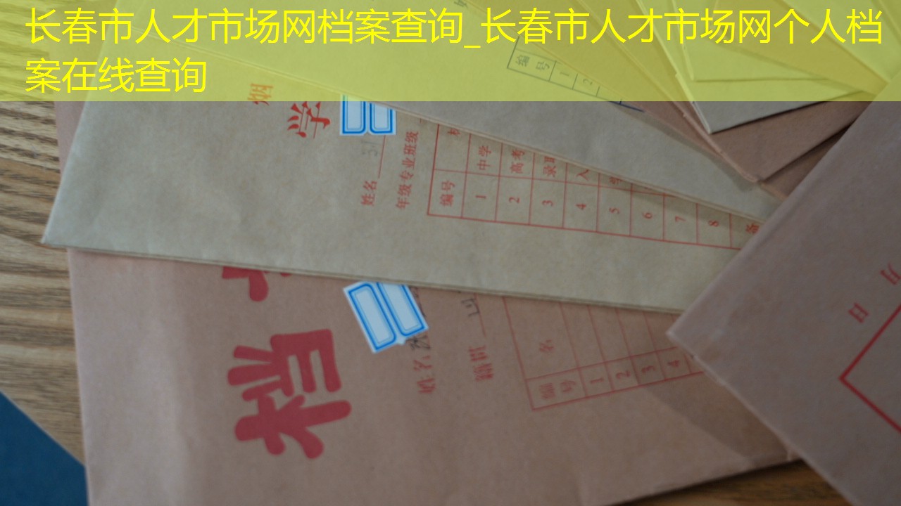 档案查询