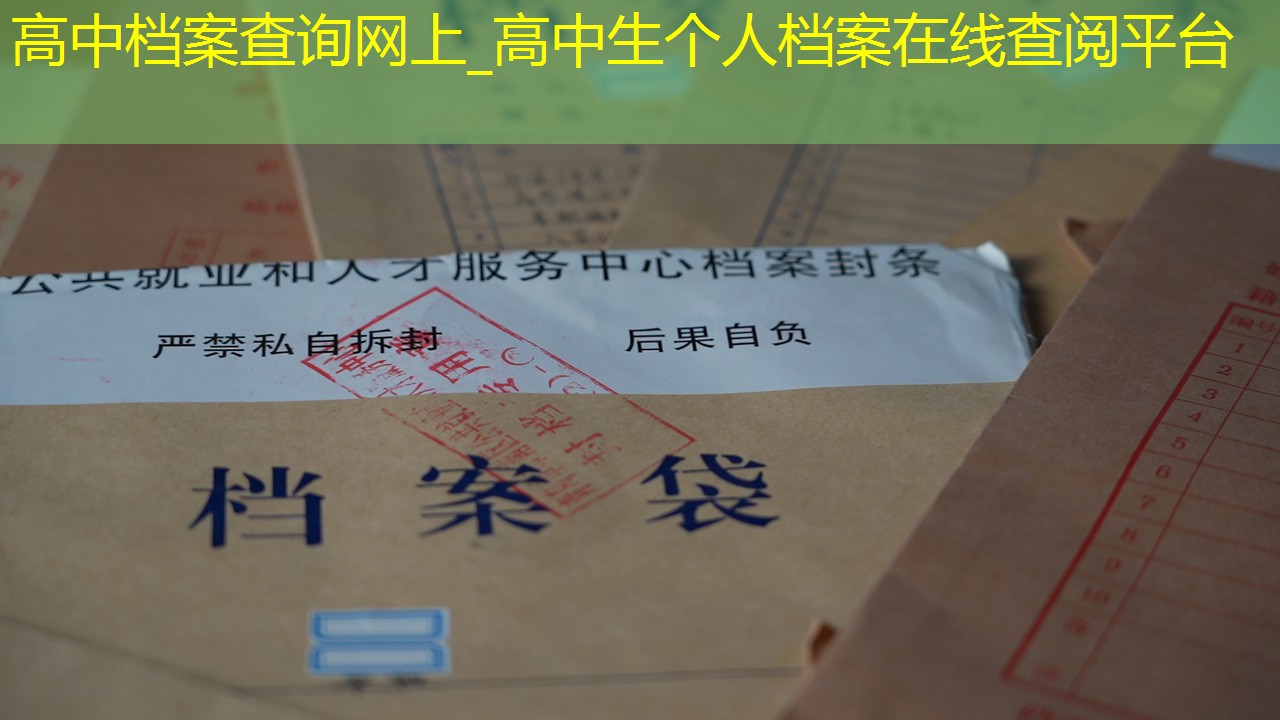 档案查询