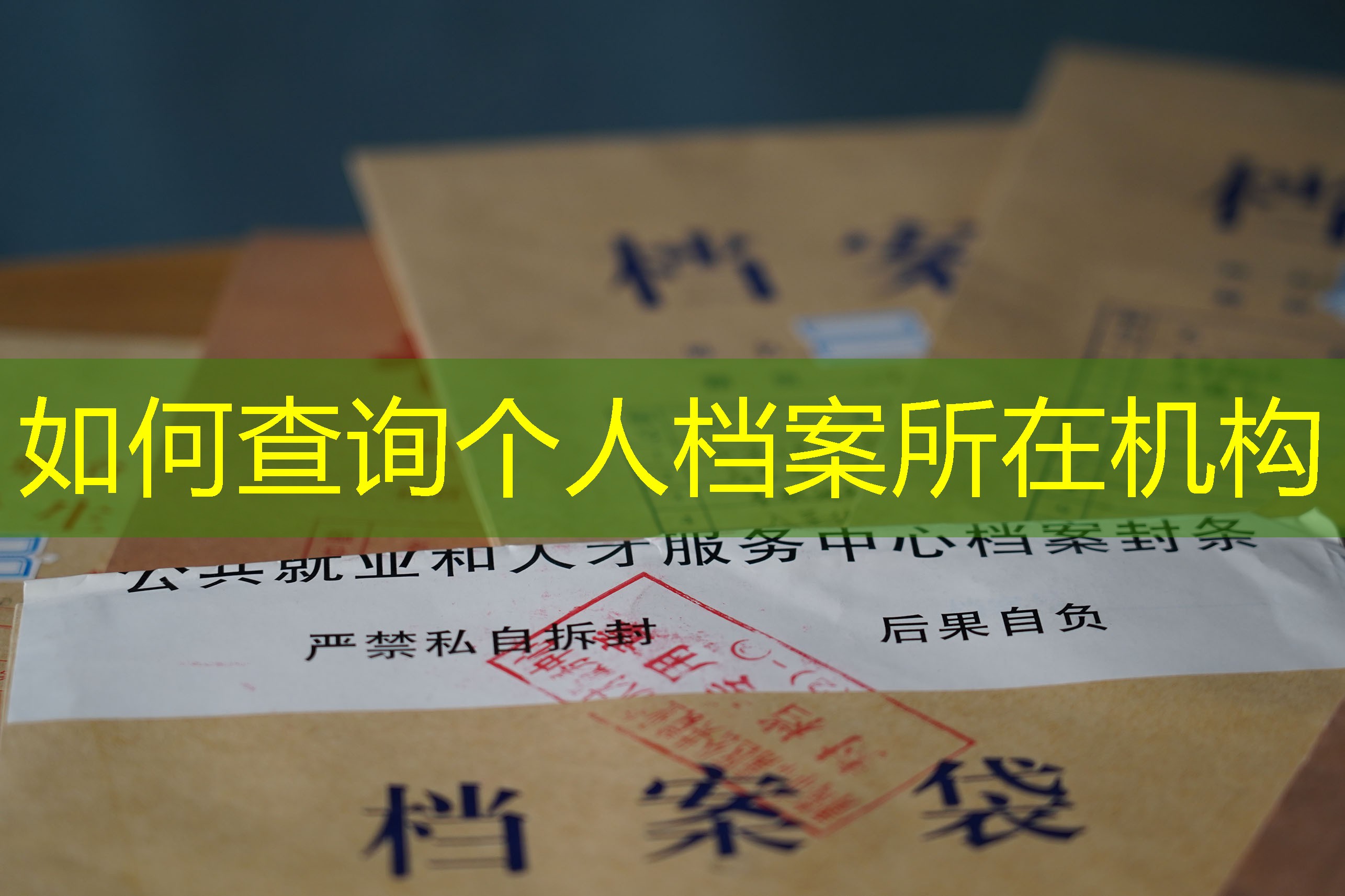 档案查询