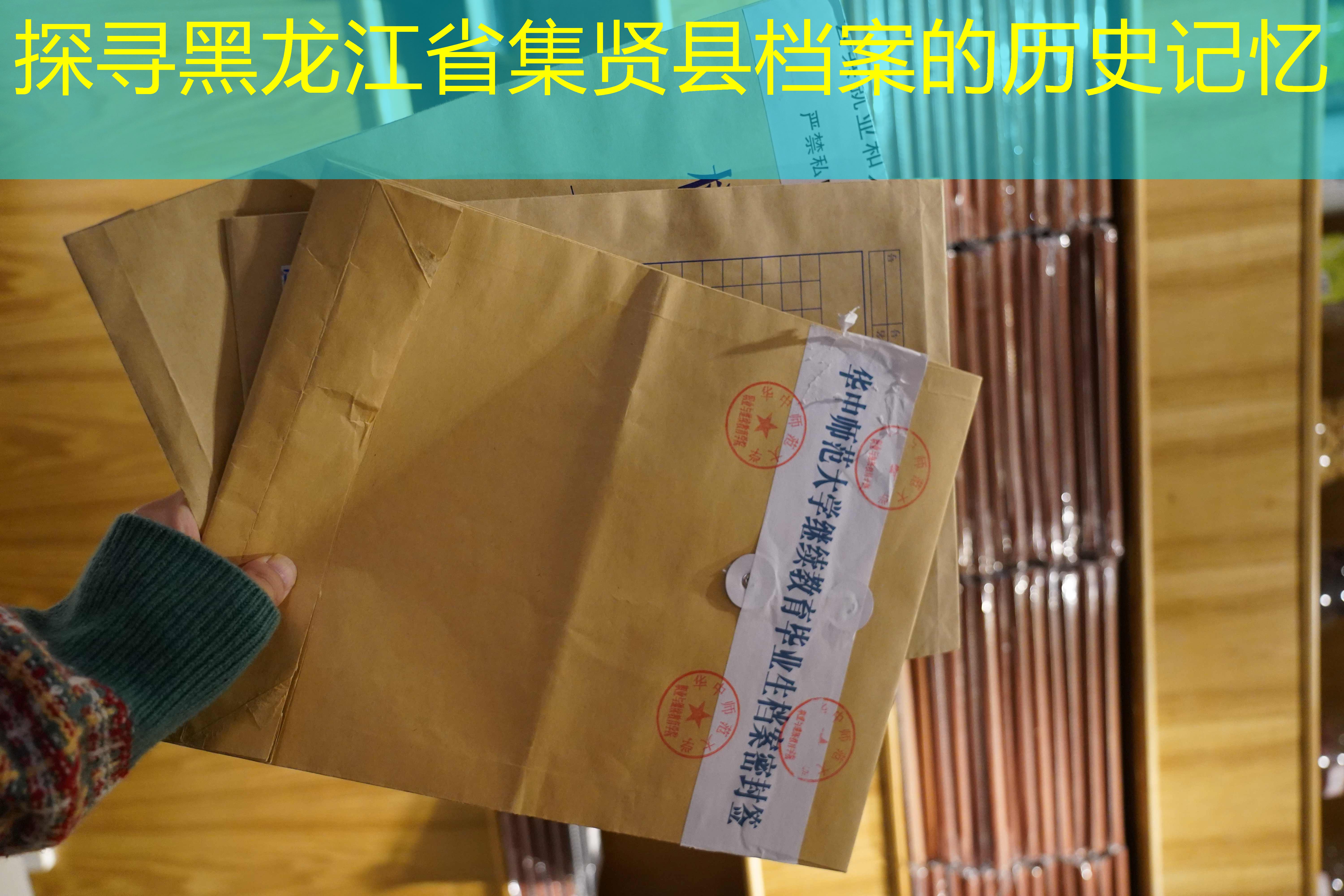 档案查询