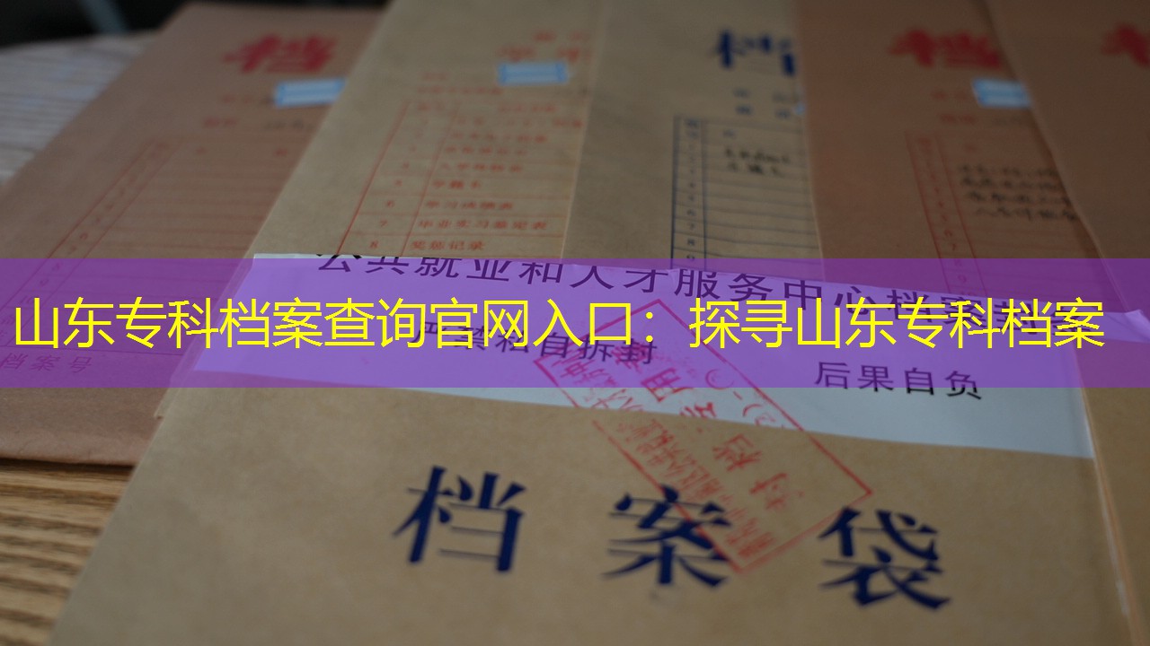 档案查询